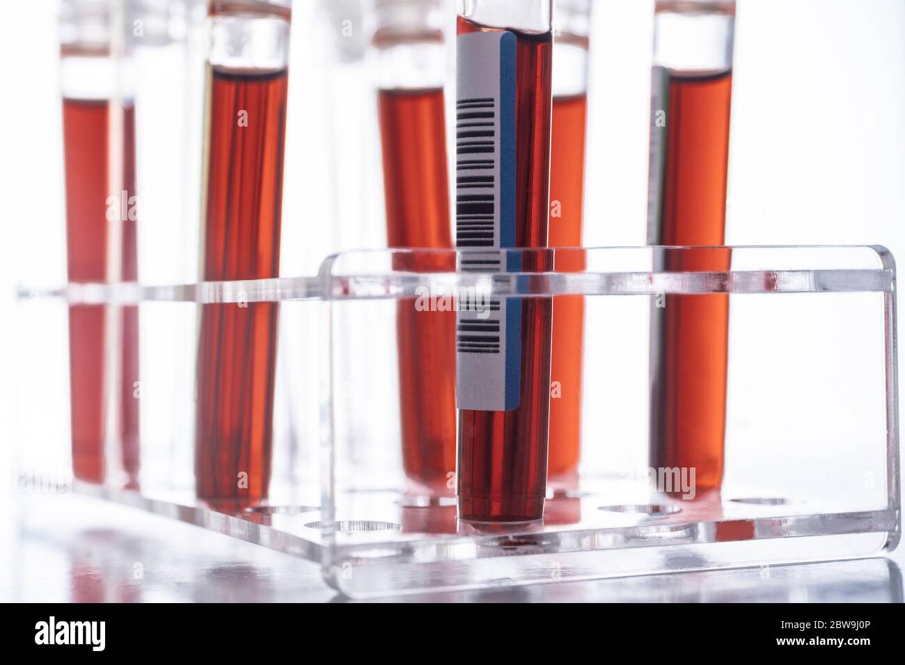 Studioaufnahme von Covid-19 Blutproben im Reagenzglasgestell Stockfoto