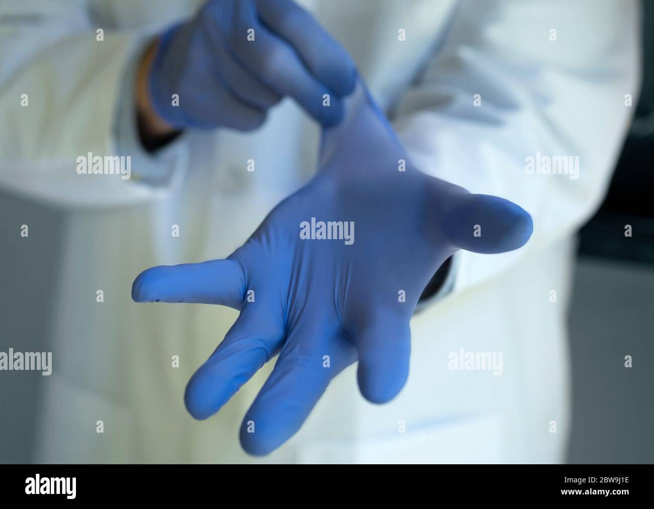 Close-upÂ des Arztes, der blaue Latexhandschuhe ansetzt Stockfoto