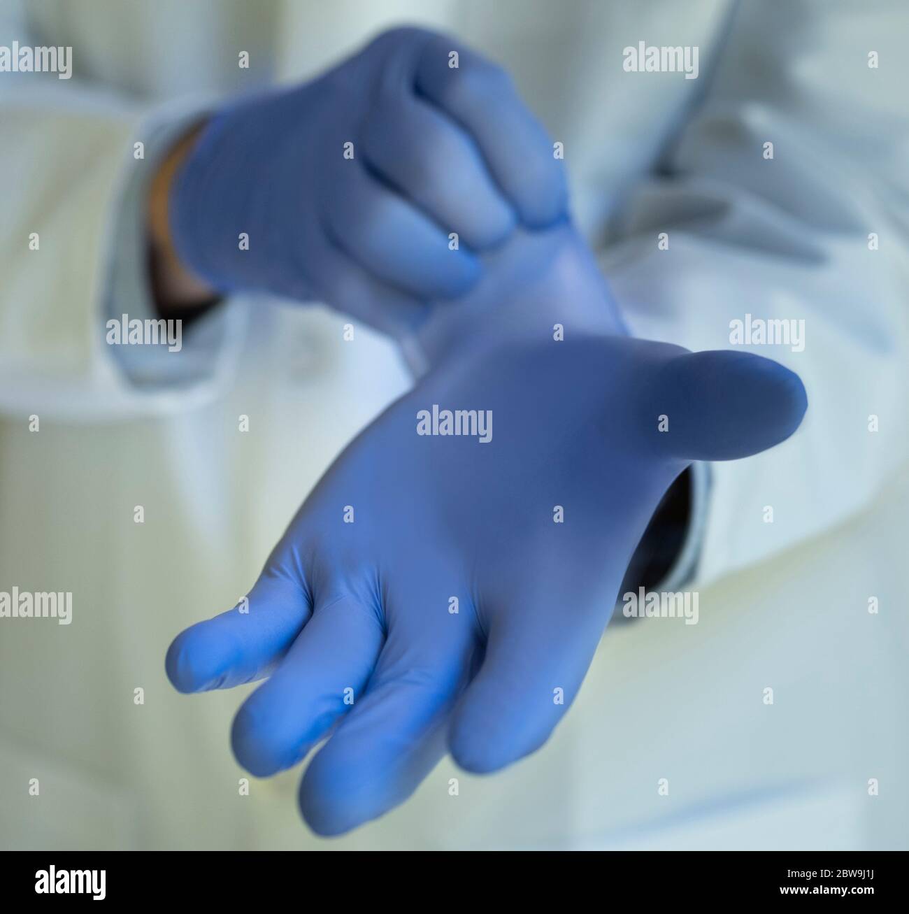 Close-upÂ des Arztes, der blaue Latexhandschuhe ansetzt Stockfoto
