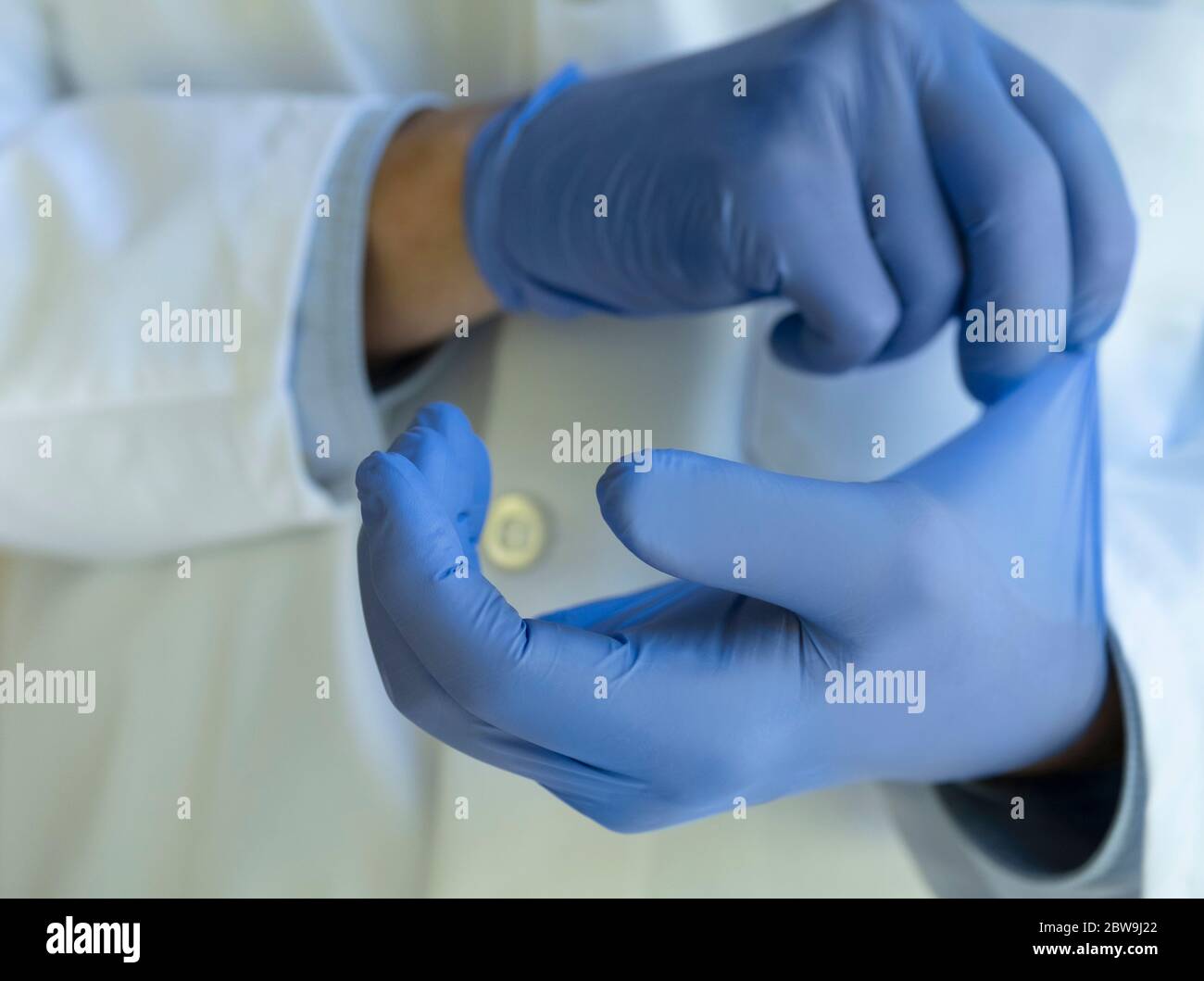 Nahaufnahme des Arztes, der blaue Latexhandschuhe ansetzt Stockfoto