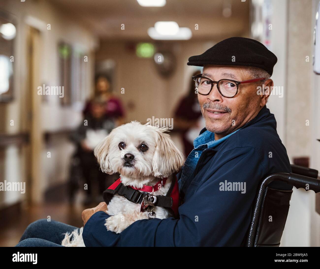 Älterer Mann im Rollstuhl, der den Diensthund hält Stockfoto