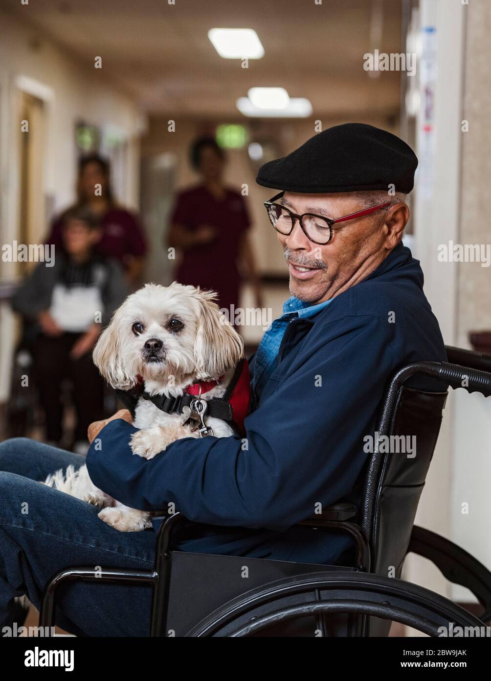 Älterer Mann im Rollstuhl, der den Diensthund hält Stockfoto