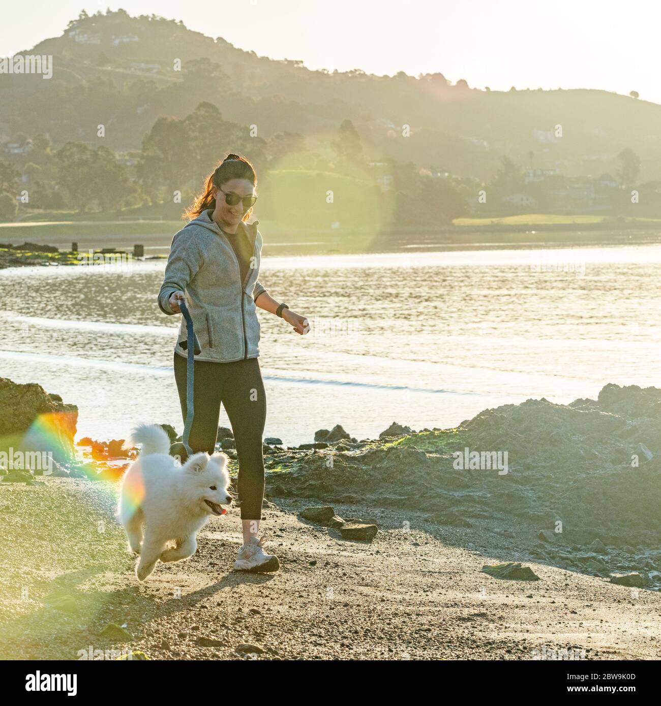 USA, Kalifornien, San Francisco, Frau mit Samoyed Welpen läuft am Strand Stockfoto