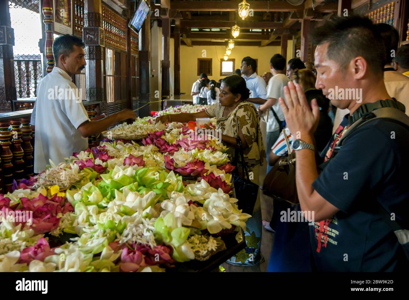 Buddhistische Gläubige beten vor einem Bett aus Lotusblumen auf der zweiten Etage des Tempels des Heiligen Zahnrelikas in Kandy in Sri Lanka. Stockfoto