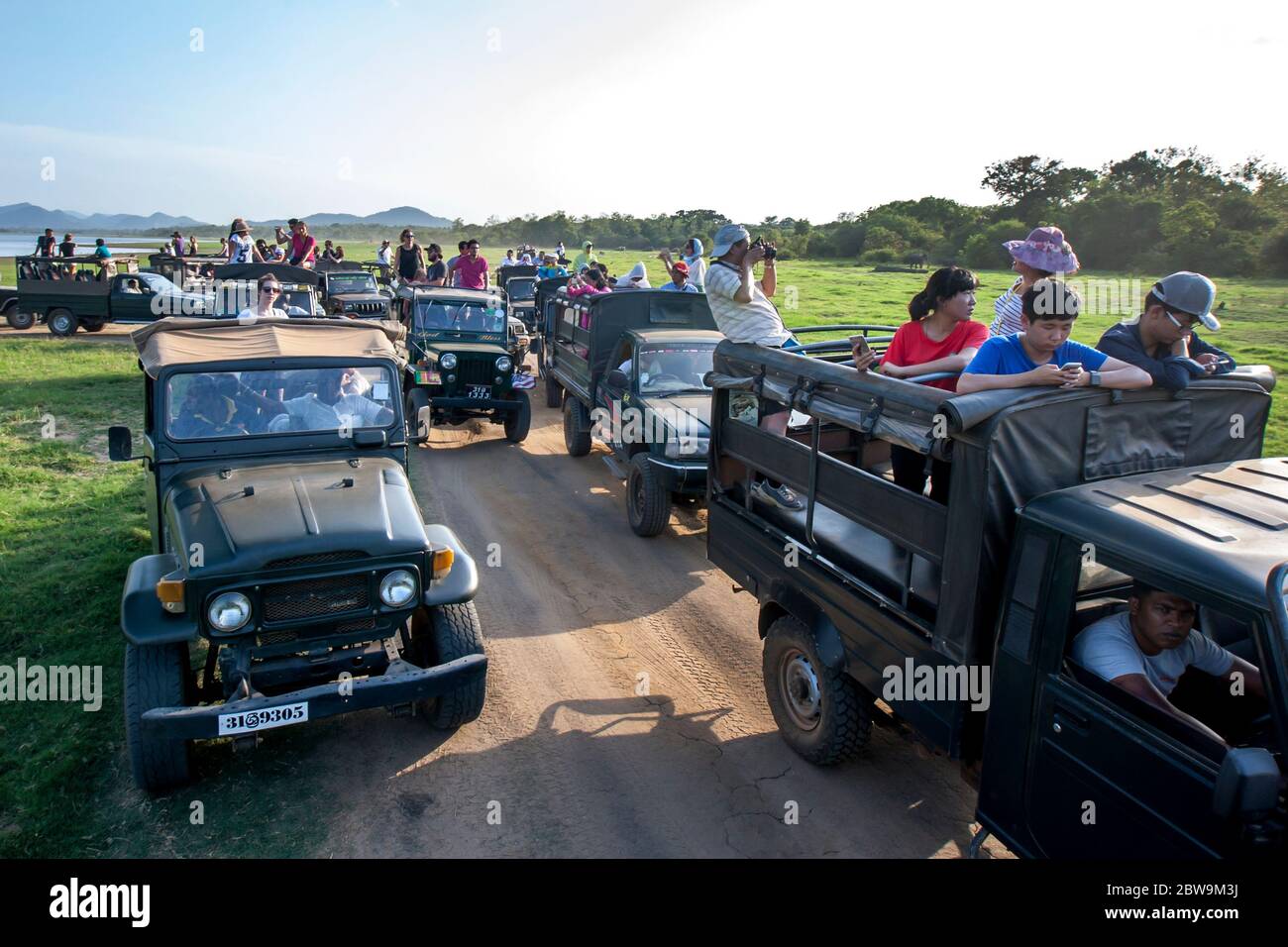 Ein Konvoi von Safari Jeeps mit Touristen neben dem Tank oder künstlichen Reservoir im Minneriya Nationalpark in Sri Lanka geparkt. Stockfoto