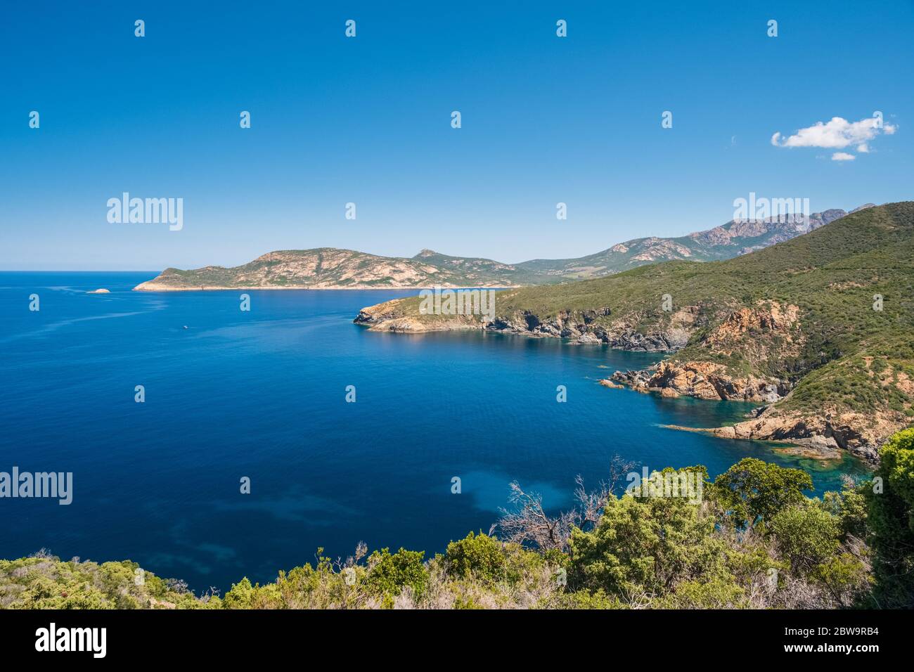 Felsige Küste trifft auf das türkisfarbene Mittelmeer an der Westküste Korsikas südlich von Calvi Stockfoto