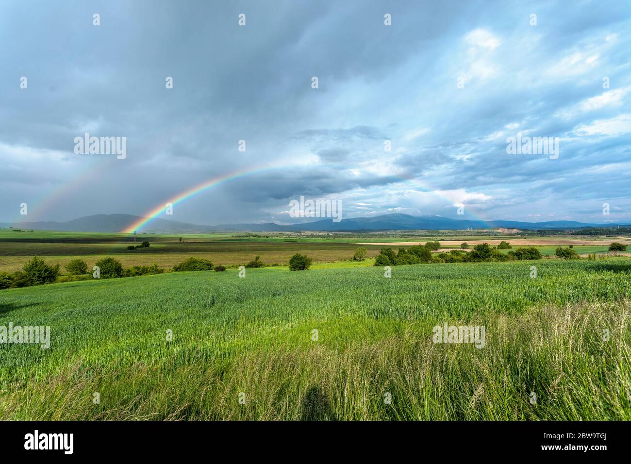 Landschaft mit grünen Feld und Regenbogen Stockfoto