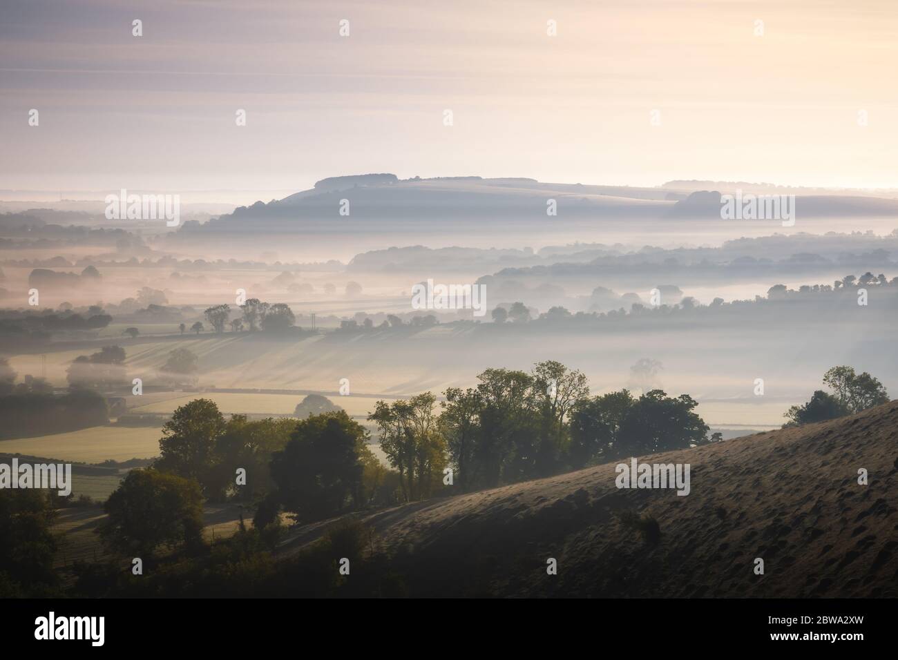 North Dorset Hills bei Sonnenaufgang Stockfoto