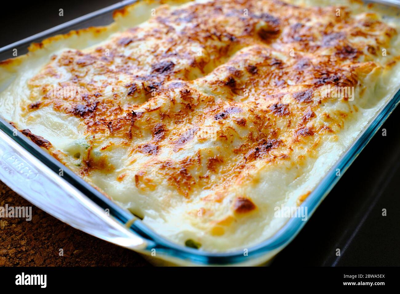 Typisch italienische Cannelloni mit Ricotta und Spinat gerade aus dem Ofen entfernt. Sie sind komplett vegetarisch. Stockfoto