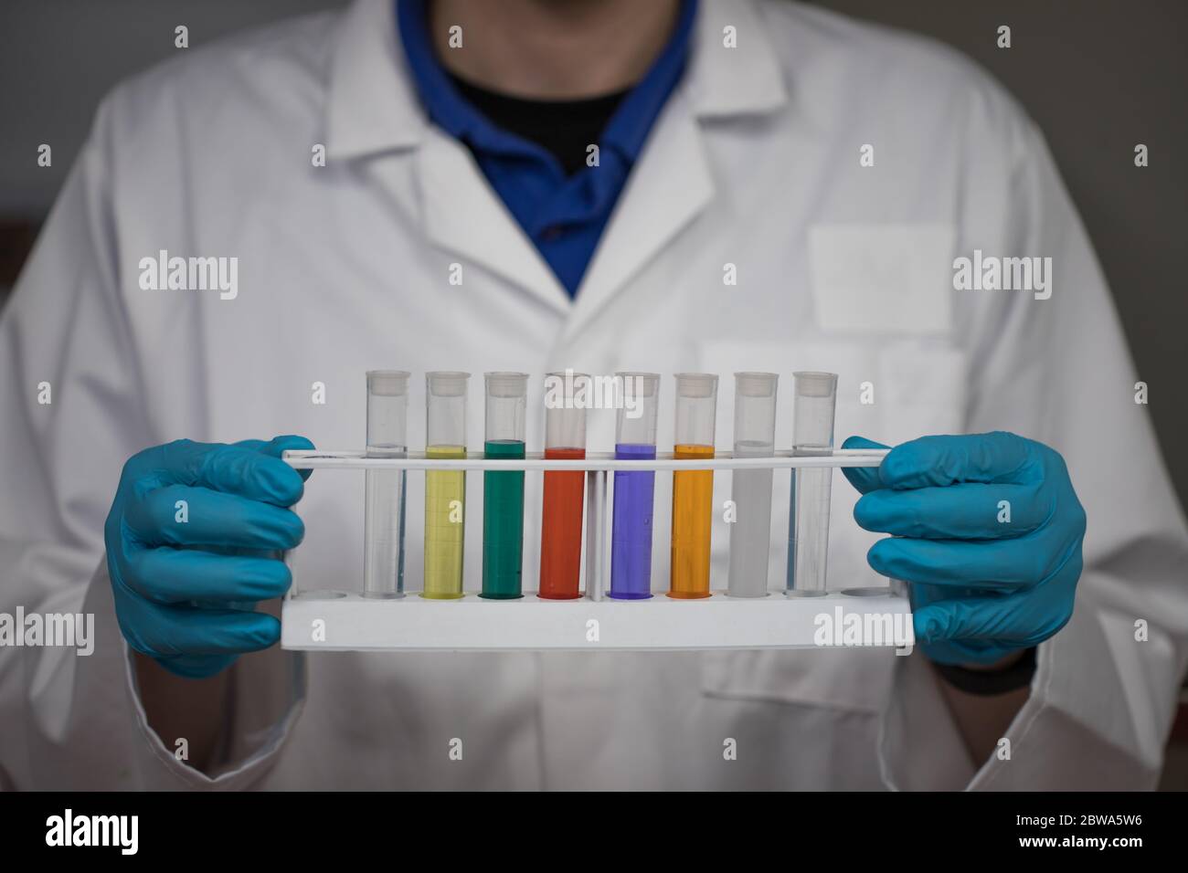 Chemische Analyse von Lösungen im Labor. Wissenschaftler, der ein Reagenzglasgestell mit farbigen Chemikalien hält Stockfoto