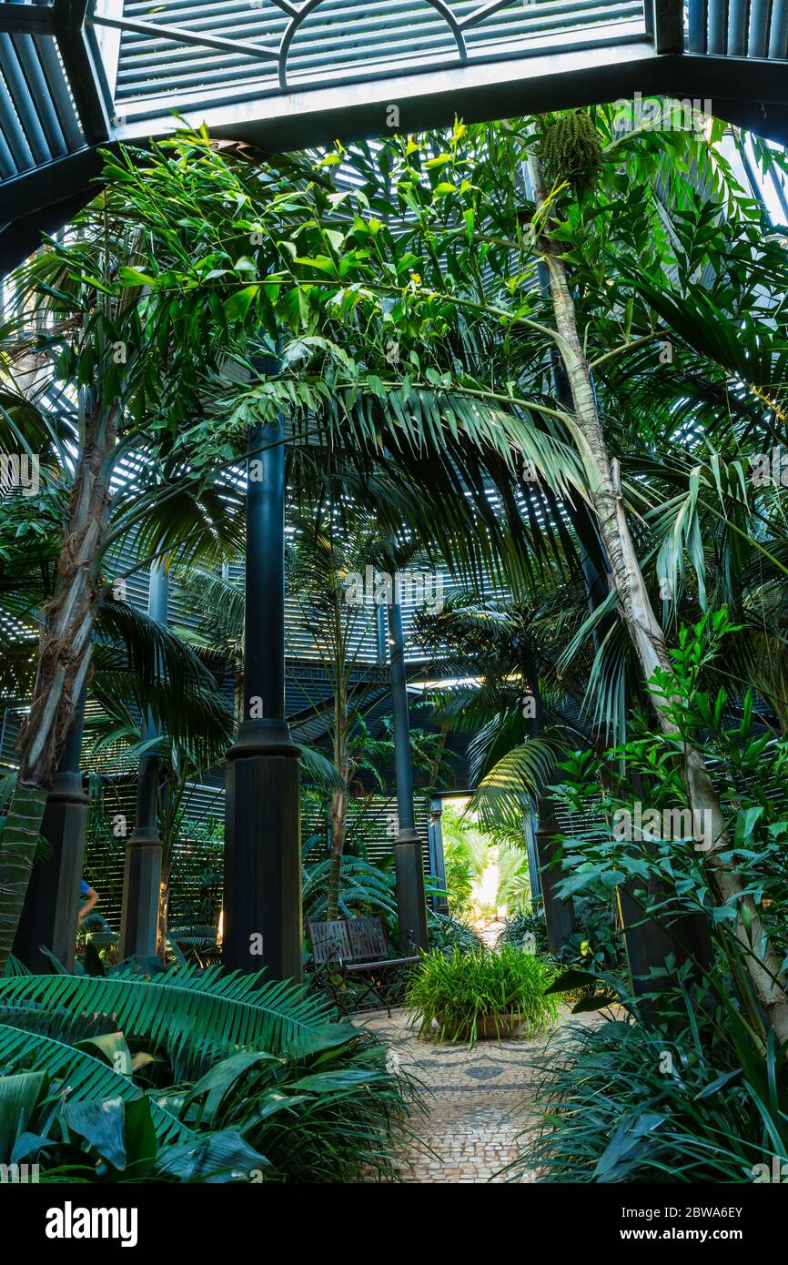 Schattenspendenden Garten für schattenliebende Pflanzen und Bäume mit Dachkonstruktion Stockfoto