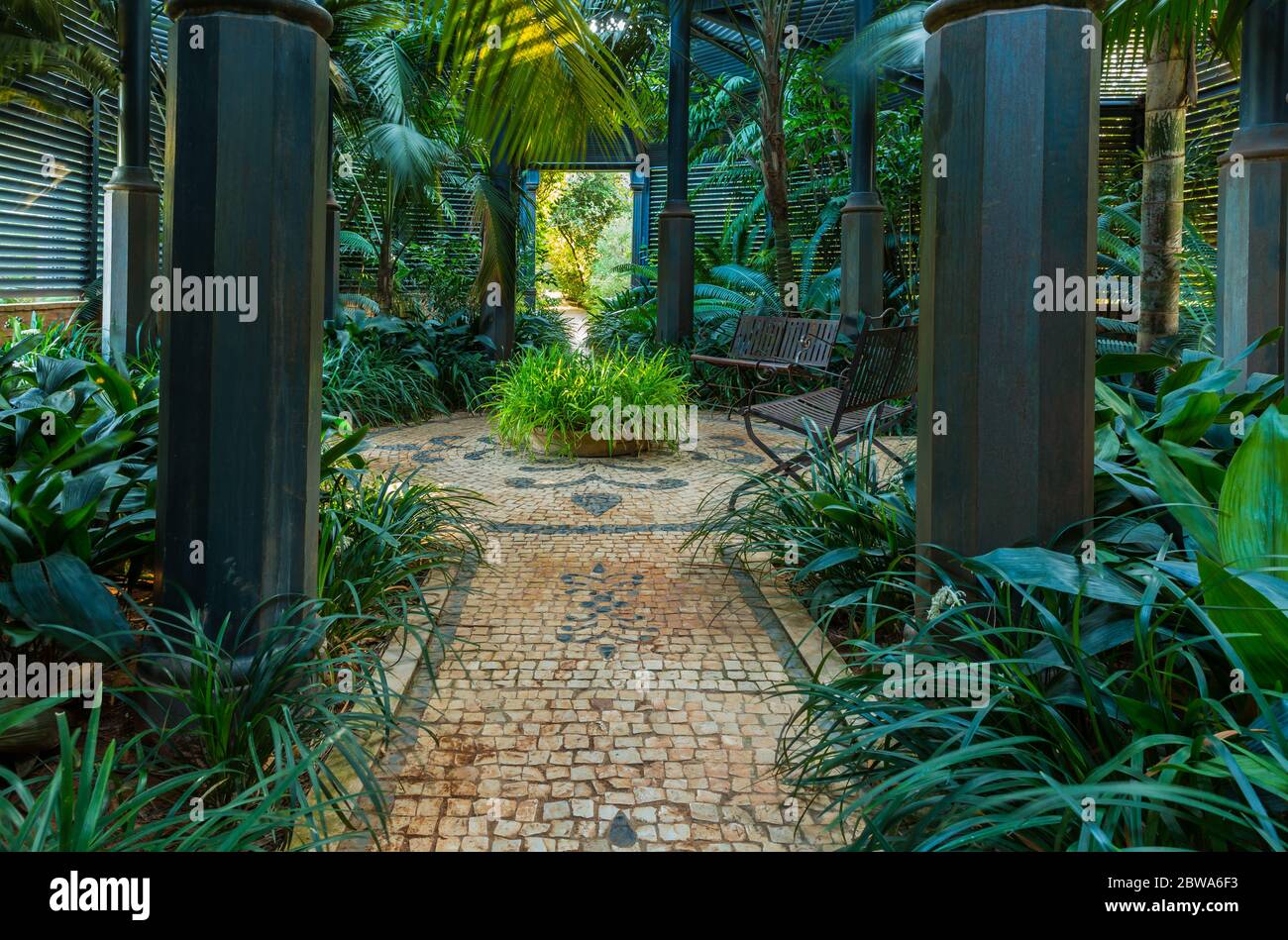 Schattenspendenden Garten für schattenliebende Pflanzen und Bäume mit Dachkonstruktion Stockfoto