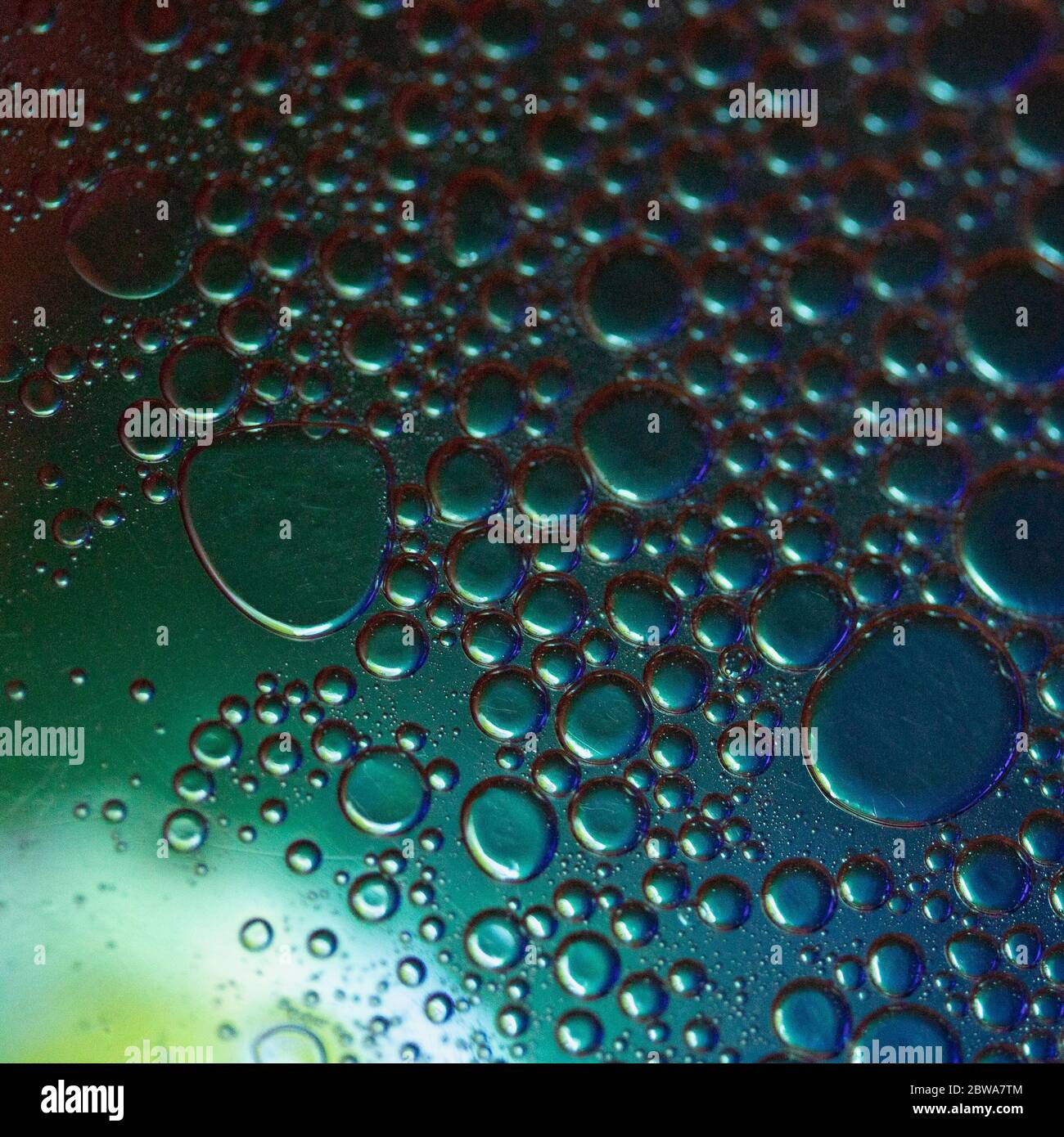 Ölblasen auf der Wasseroberfläche Nahaufnahme mit Beleuchtung. Stockfoto