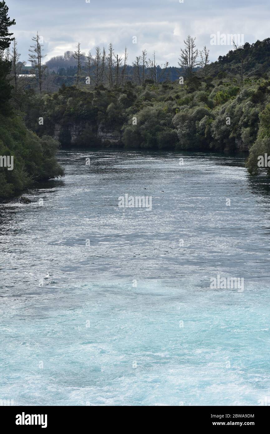 Der schnell fließende Waikato River bei Huka Falls zwischen Küsten, die von dichtem einheimischen Busch bedeckt sind. Stockfoto