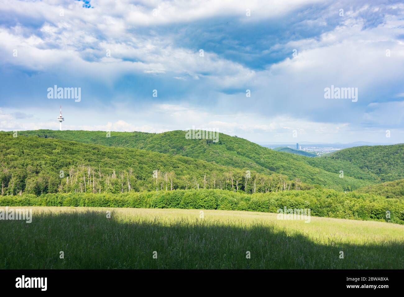 Wien, Wien: Berg Sophienalpe, Wienerwald, Blick auf den Fernmeldeturm Exelberg und Wien, 14. Penzing, Wien, Austr Stockfoto
