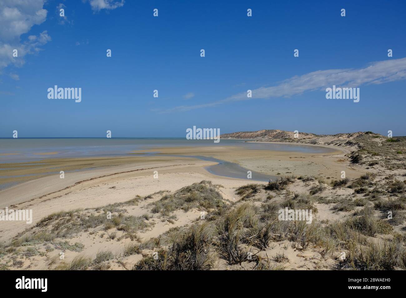 WESTERN Australia Shark Bay - Manga Strand Küste Stockfoto