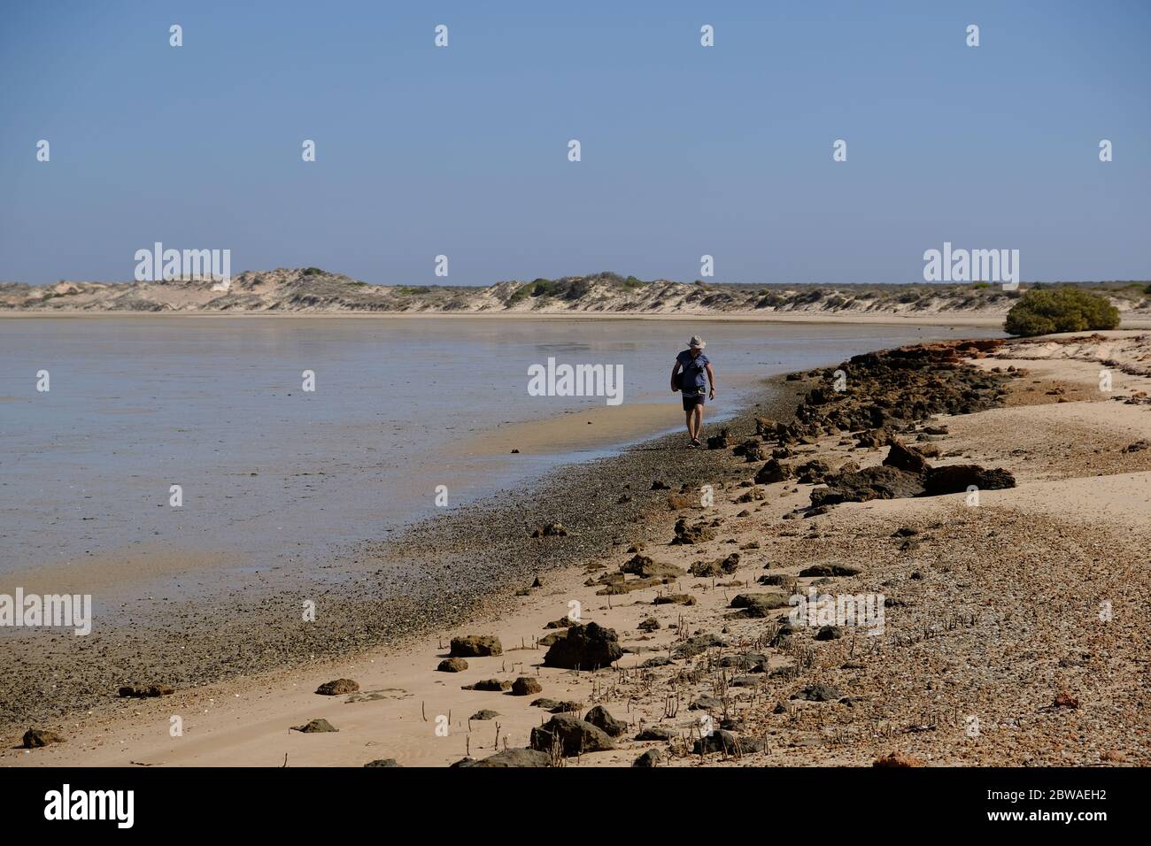 WESTERN Australia Shark Bay - Manga Strand Küste Stockfoto
