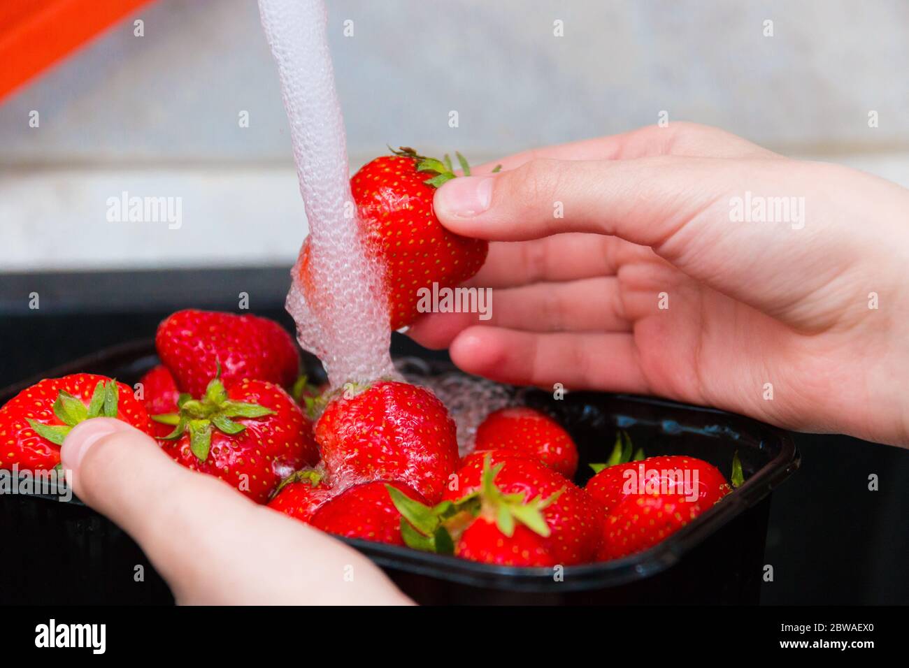 Erdbeeren waschen. Das Mädchen wäscht die reifen Erdbeeren unter einem  starken Wasserstrahl, waschen die Erdbeeren gründlich vor dem Essen.  Selektiv Stockfotografie - Alamy