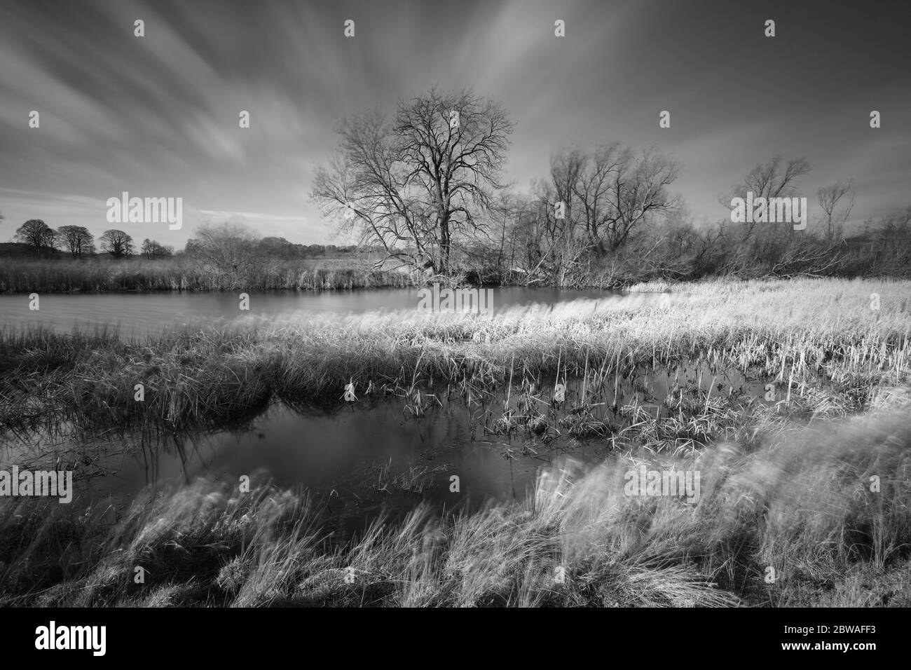 Schwarz-Weiß-Panoramalandschaft einer Winterlandschaft an einem windigen Tag mit Bäumen und einem See in der Grafschaft Durham, England, Großbritannien. Stockfoto
