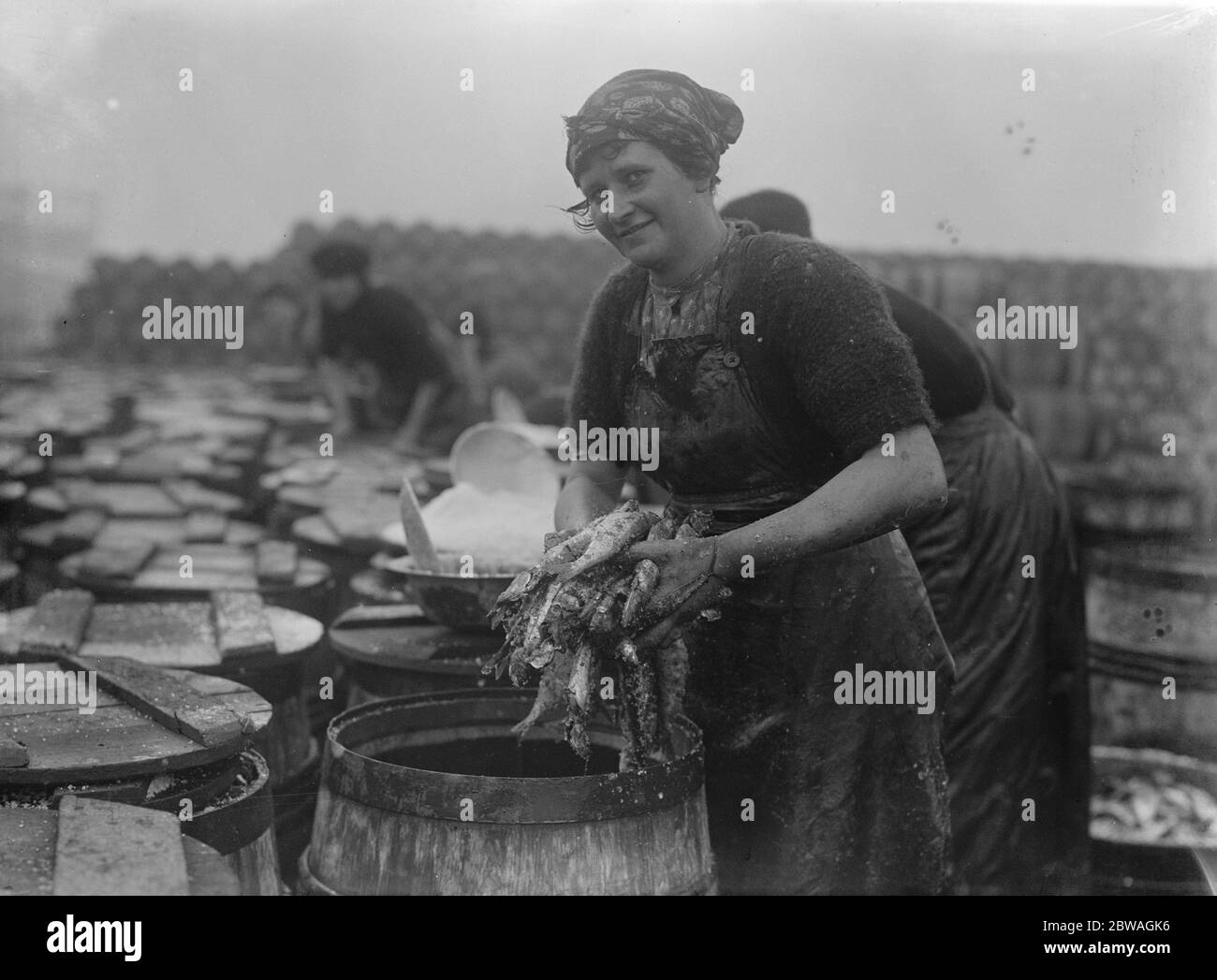 Hering Ernte bei Lowestoft Scotch Fischer Mädchen Ausgucken und Verpackung der Fische auf der Kai Seite Lowestoft . November 1920 Stockfoto