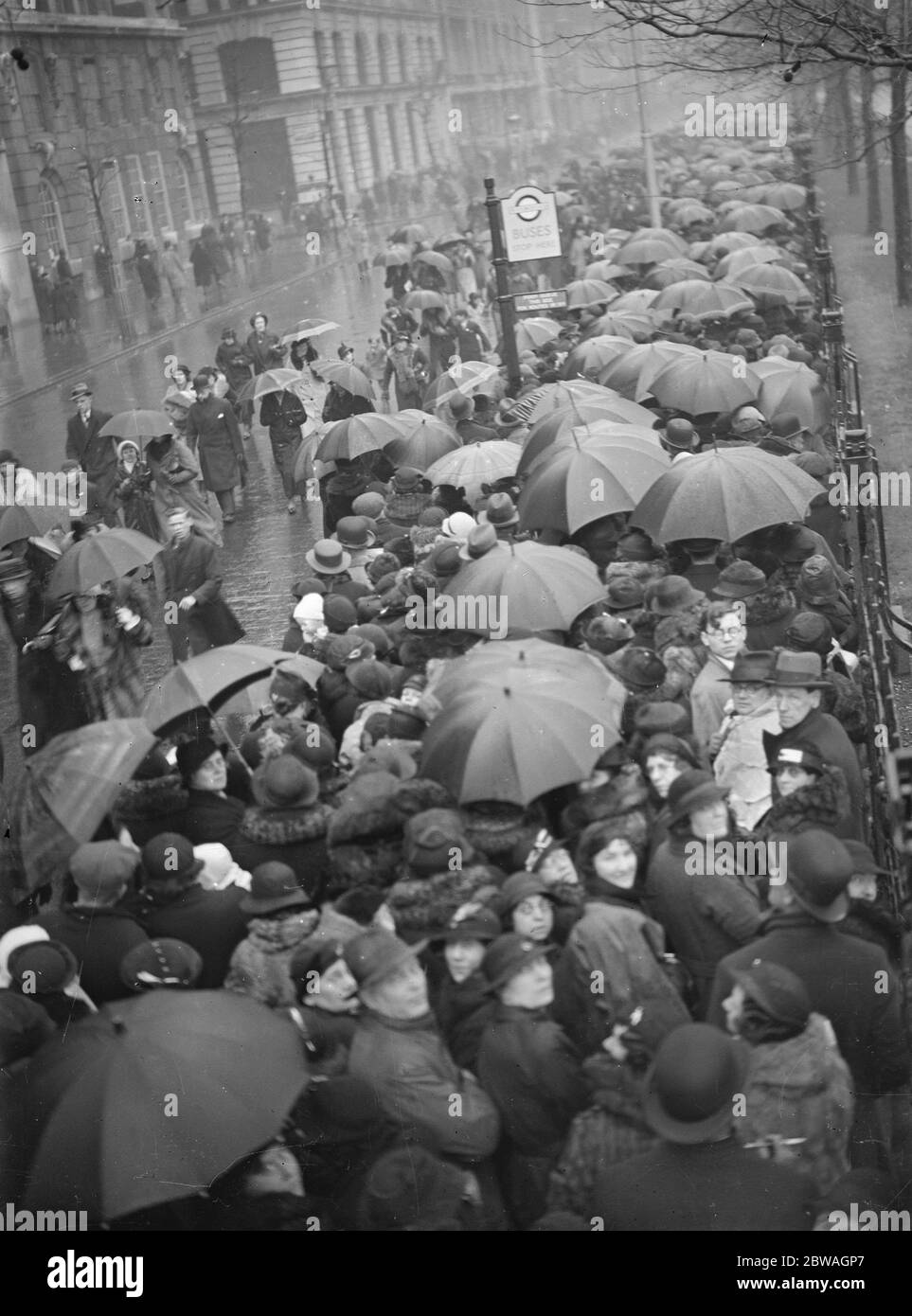 Das im Staat König Georg V. in Westminster liegende Regenschirme in der Schlange , die sich entlang Millbank am 27. Januar 1936 erstreckte Stockfoto