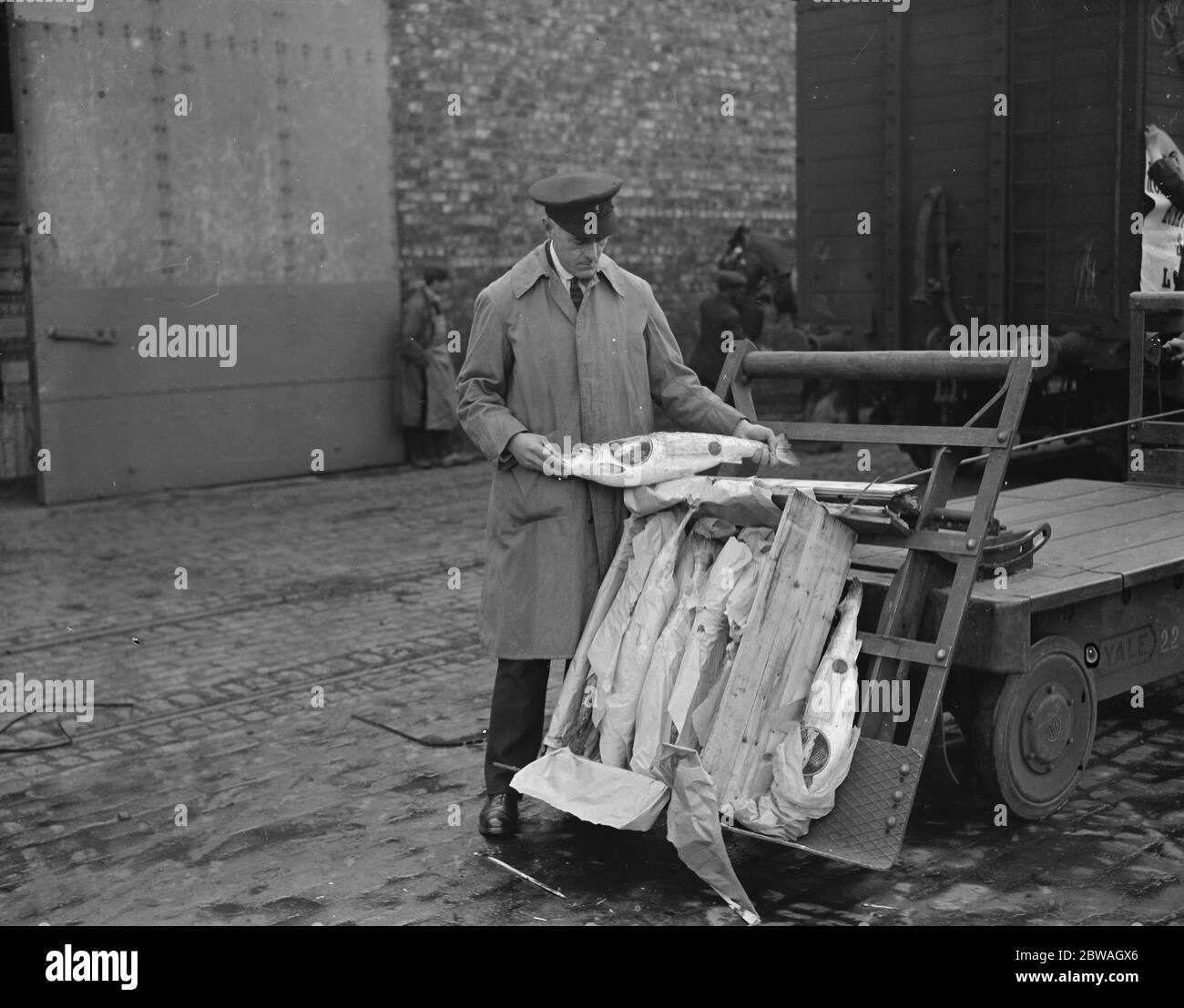 Aufgenommen in Liverpool für Messers Tabor der Ankunft von Lachs von der Hudson Bay Company Stockfoto