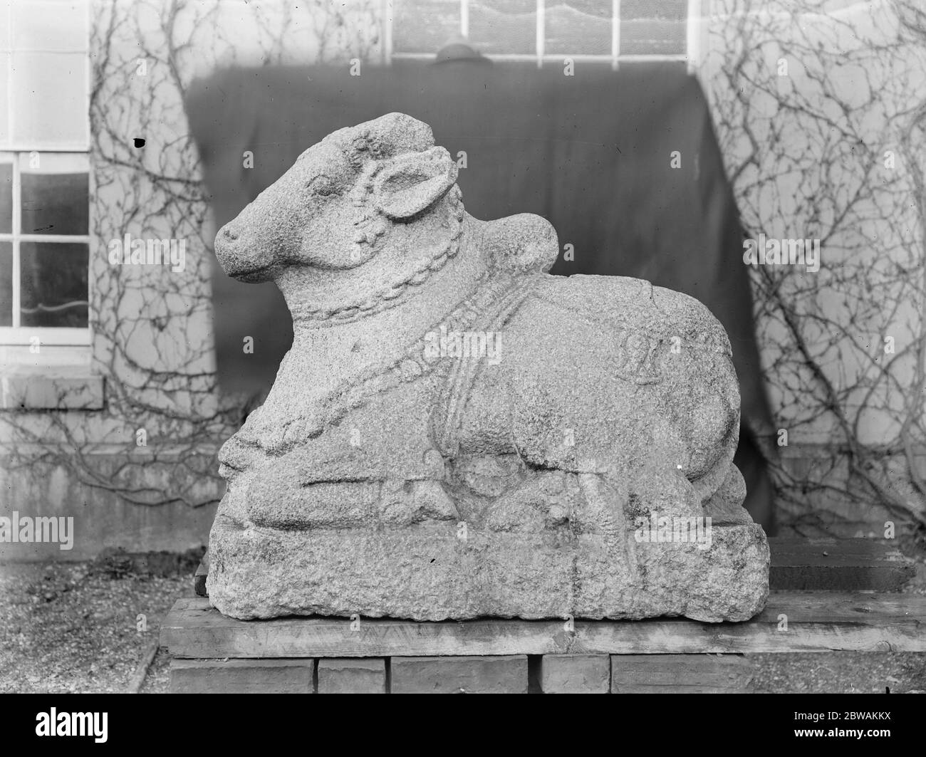 Wunderbare Reliquien für die nationale Sammlung das britische Museum hat von Mr. A Bullard, einem bekannten Antiquar von Newport Pagnell, zwei sehr interessante indische Idole aus Stowe House erworben. Herr Bullard und ein "Sacred Bull", der vor 150 Jahren von einem der Herzöge von Buckingham am 4. März 1923 aus Indien gebracht wurde Stockfoto