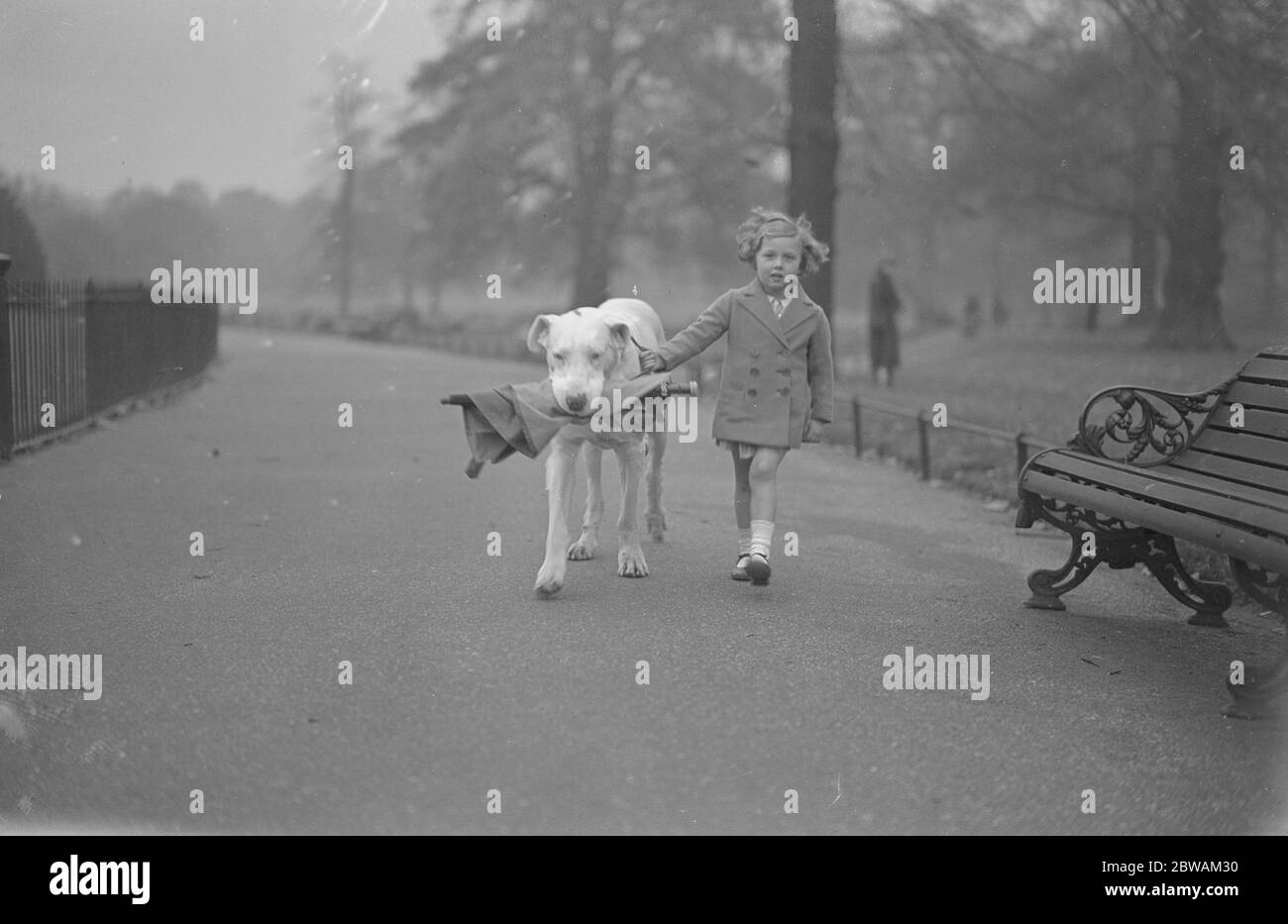 "Nero" ein Dogge und sehr bekannt im Hyde Park, teilt einen SPAZIERGANG mit seiner kleinen Herrin, Pamela Robinson im Park 22 Oktober 1932 Stockfoto