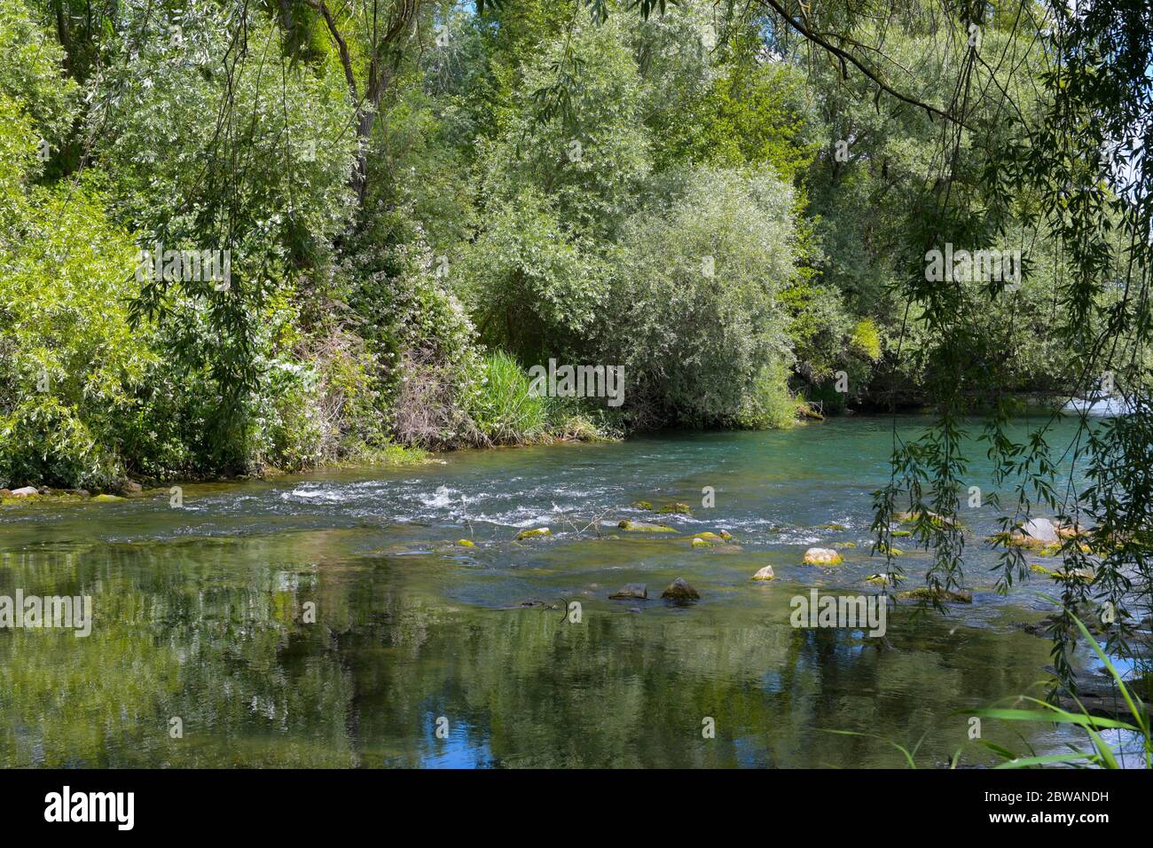 Feuchtgebiete der Ile de Gerstheim im Elsass in frankreich Stockfoto