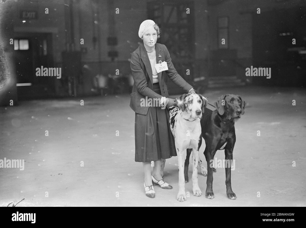 I K A Show im Olympia Miss Gwen A E Wuidart mit ' Donila von Beal ' und Donita 1932 Stockfoto