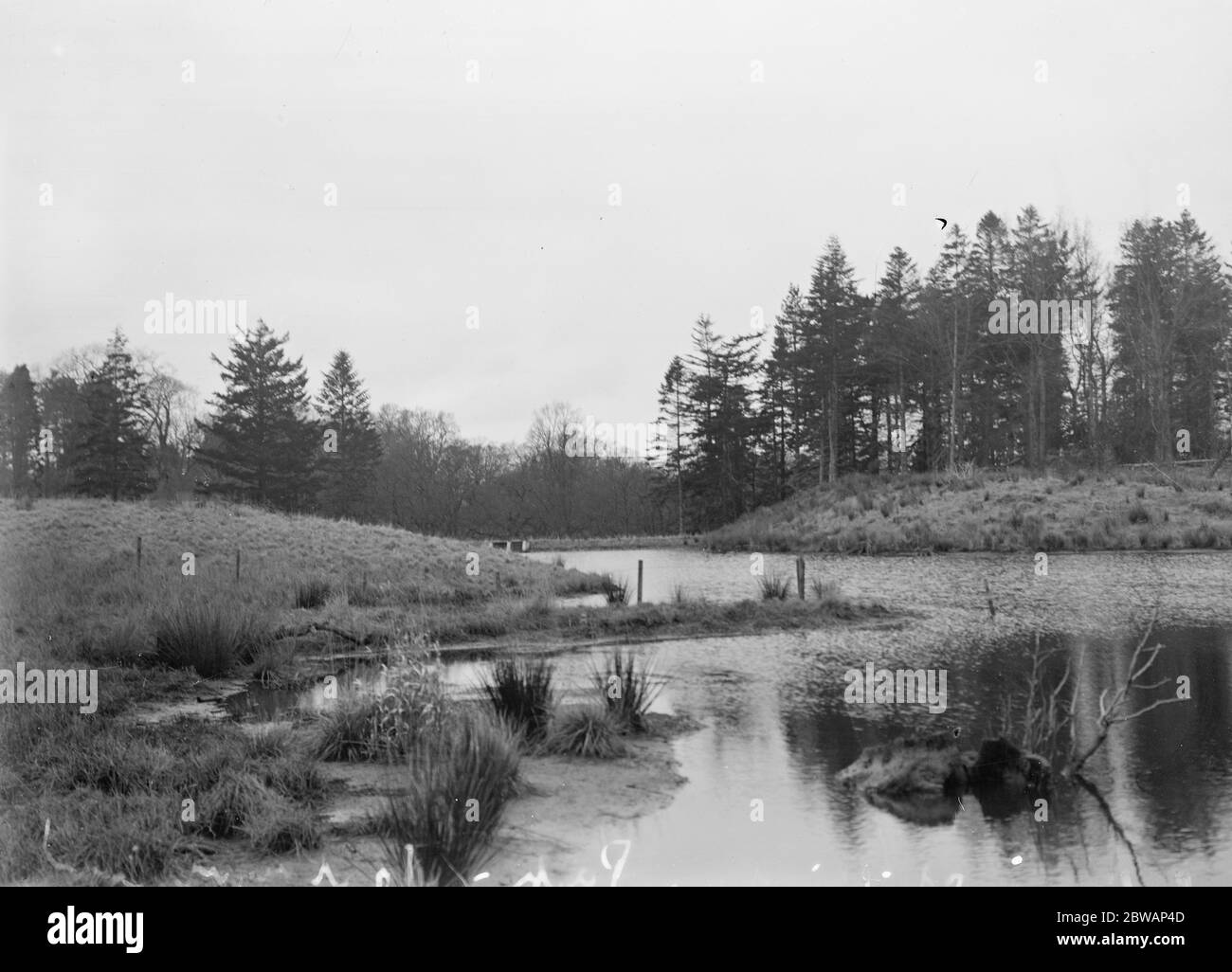See in Chilingham Park , Northumberland 1932 Stockfoto