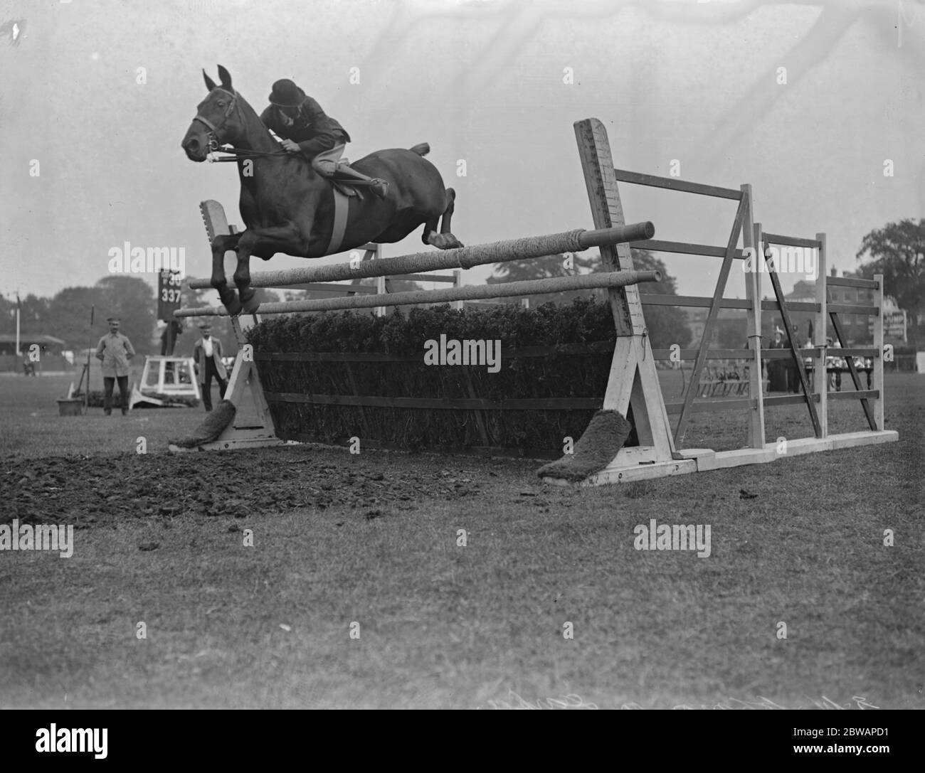 Richmond Horse Show. Mr. E U Johnson ' s ' Darky ' Stockfoto