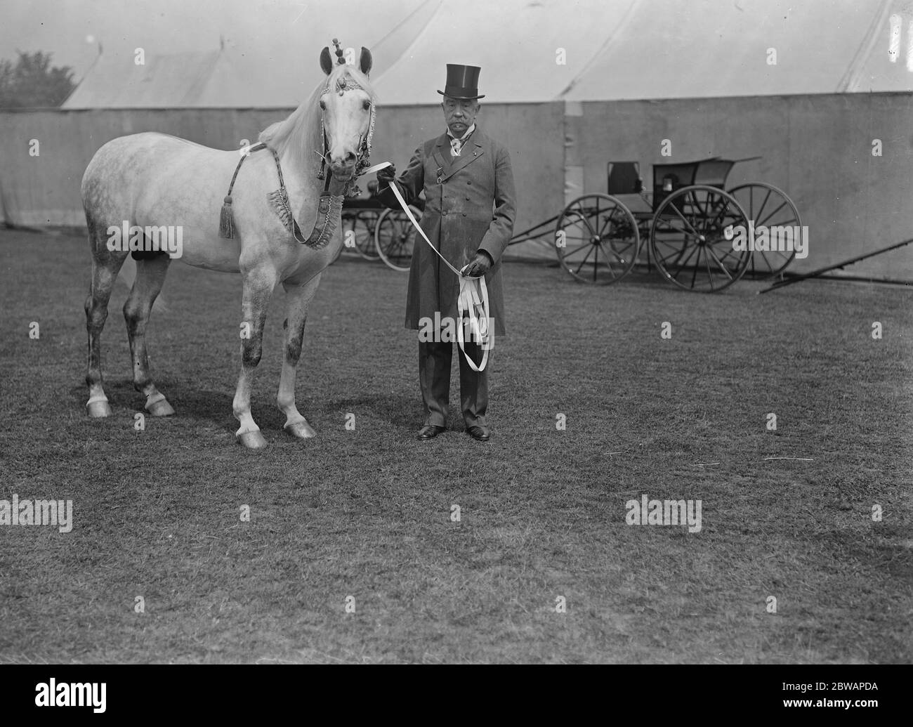 Richmond Horse Show. Herr Walter Winans und sein arabischer Hengst Skovronck Stockfoto