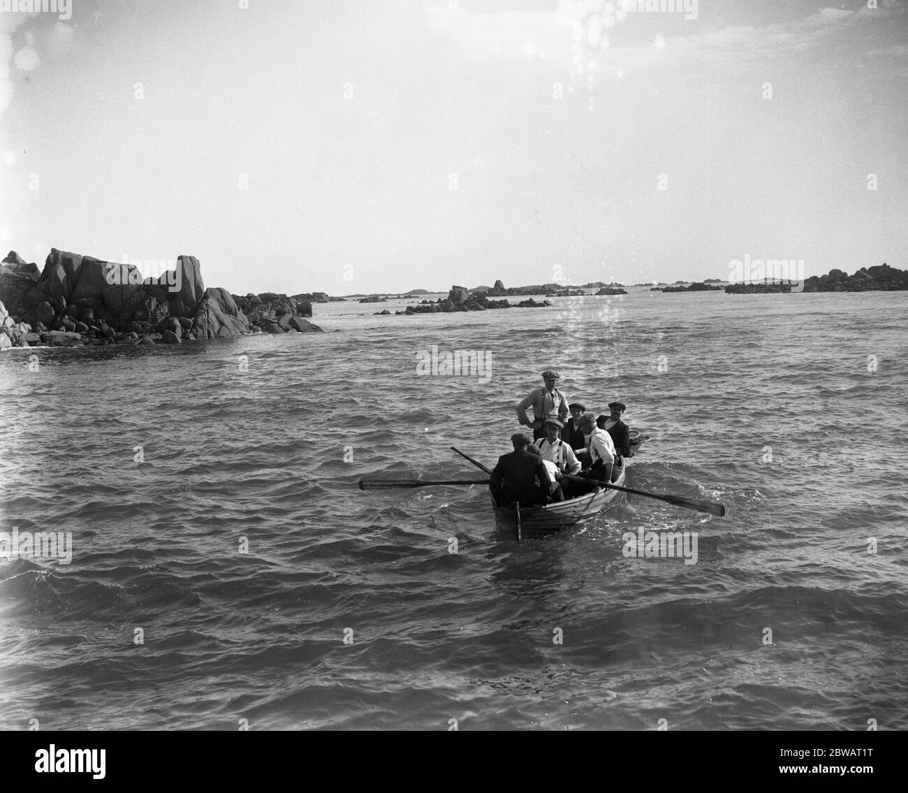 Männer sammeln Ormers ( Abalones ) in den Kanalinseln . Oktober 1920 Stockfoto