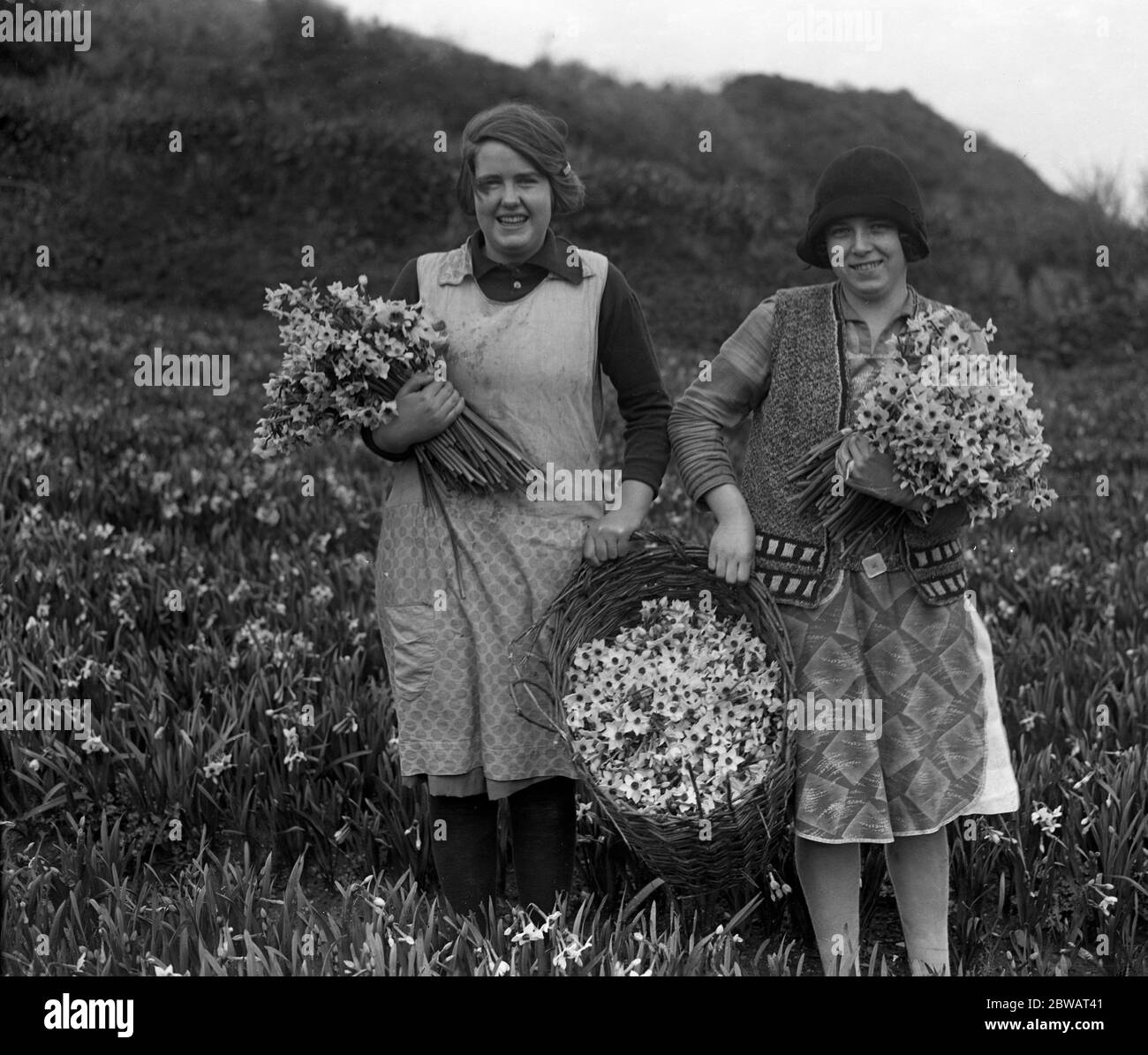 Mädchen mit Körben voll von der Frühlingsblumenernte ( narcissi ) in Mousehole , Cornwall 1929 Stockfoto