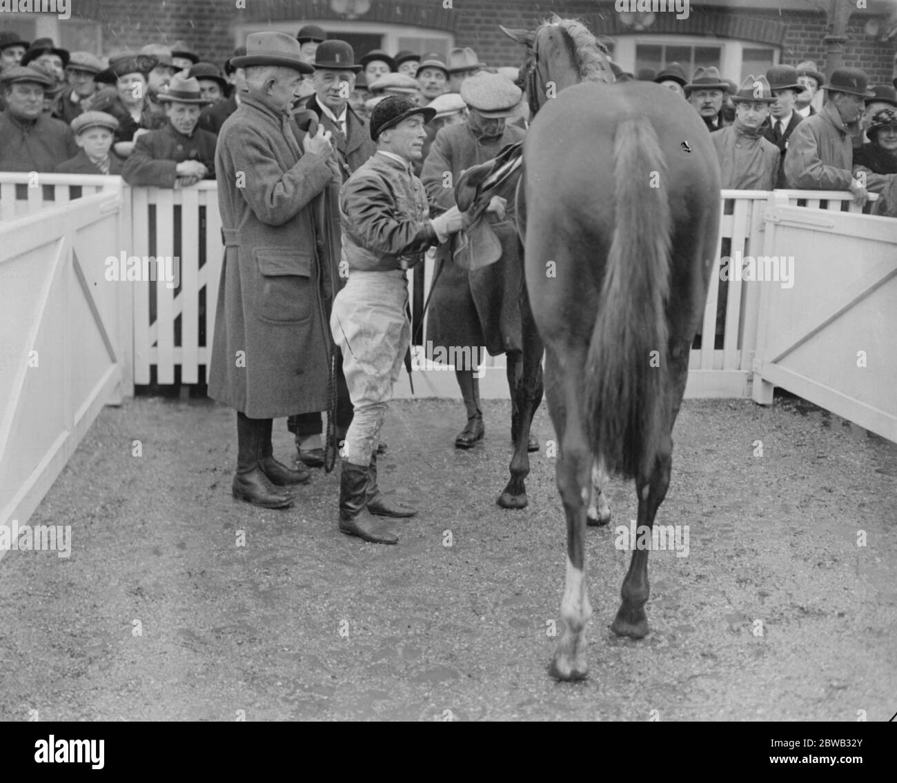 Der King's Doppelrennsieg in Newbury. Donoghue Unsattling John Green nach dem Gewinn der Chieveley Handicap Platte . 31 März 1922 Stockfoto