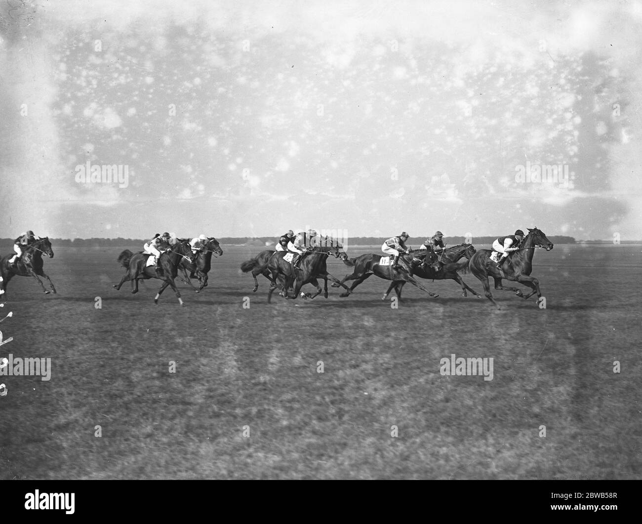 Bei den Newmarket-Rennen , " Kelpie " ( Nr. 9 ) in der Führung zu gewinnen, die " Newmarket Produce Stakes " 30 September 1937 Stockfoto