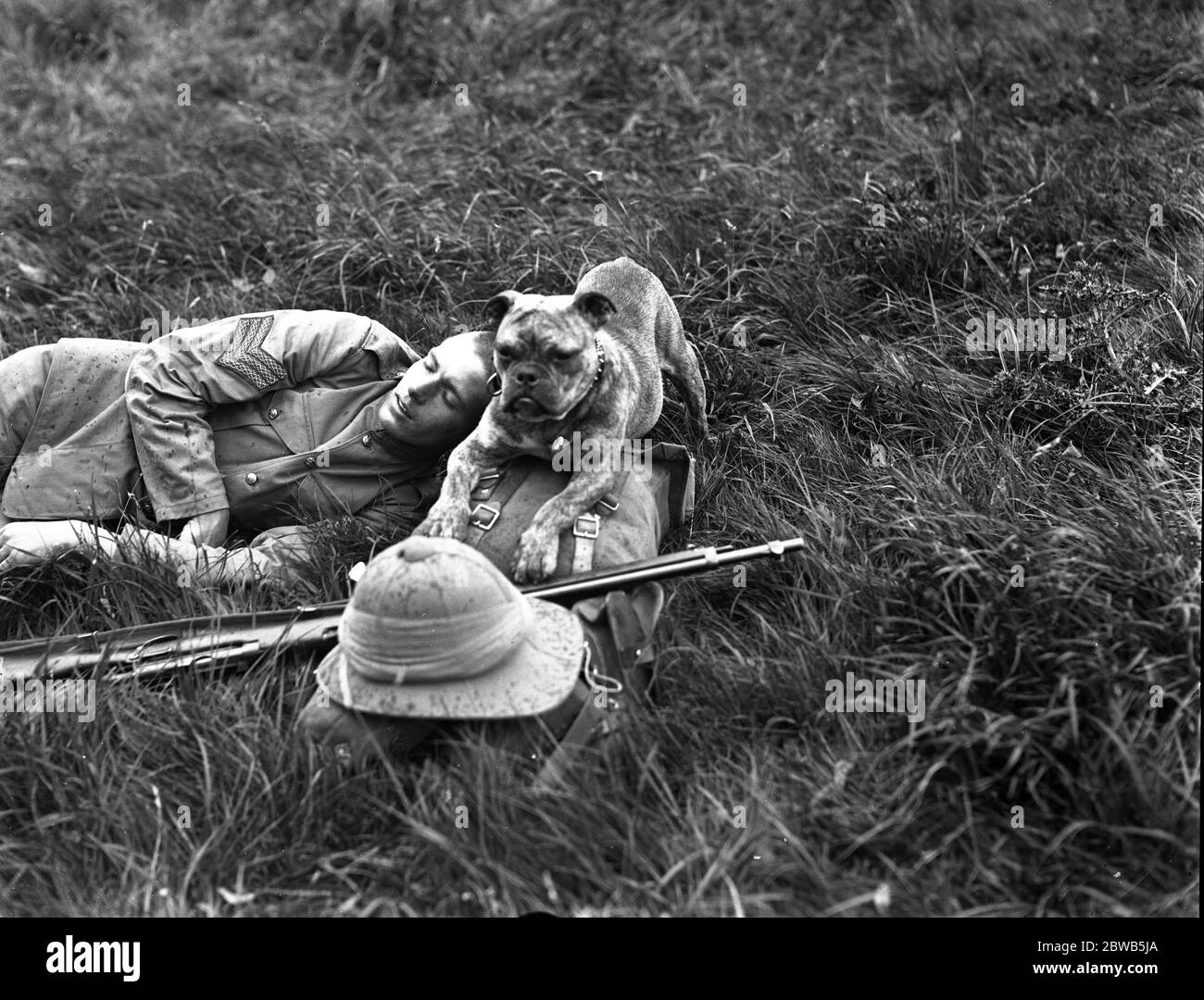 Brigadier General C De Winton und Major General Inglesfield inspizieren das 10. London Regiment in Hatfield House, Hertfordshire. Ein Bulldog montiert Wache, während sein Meister schläft. 1914 - 1918 Stockfoto