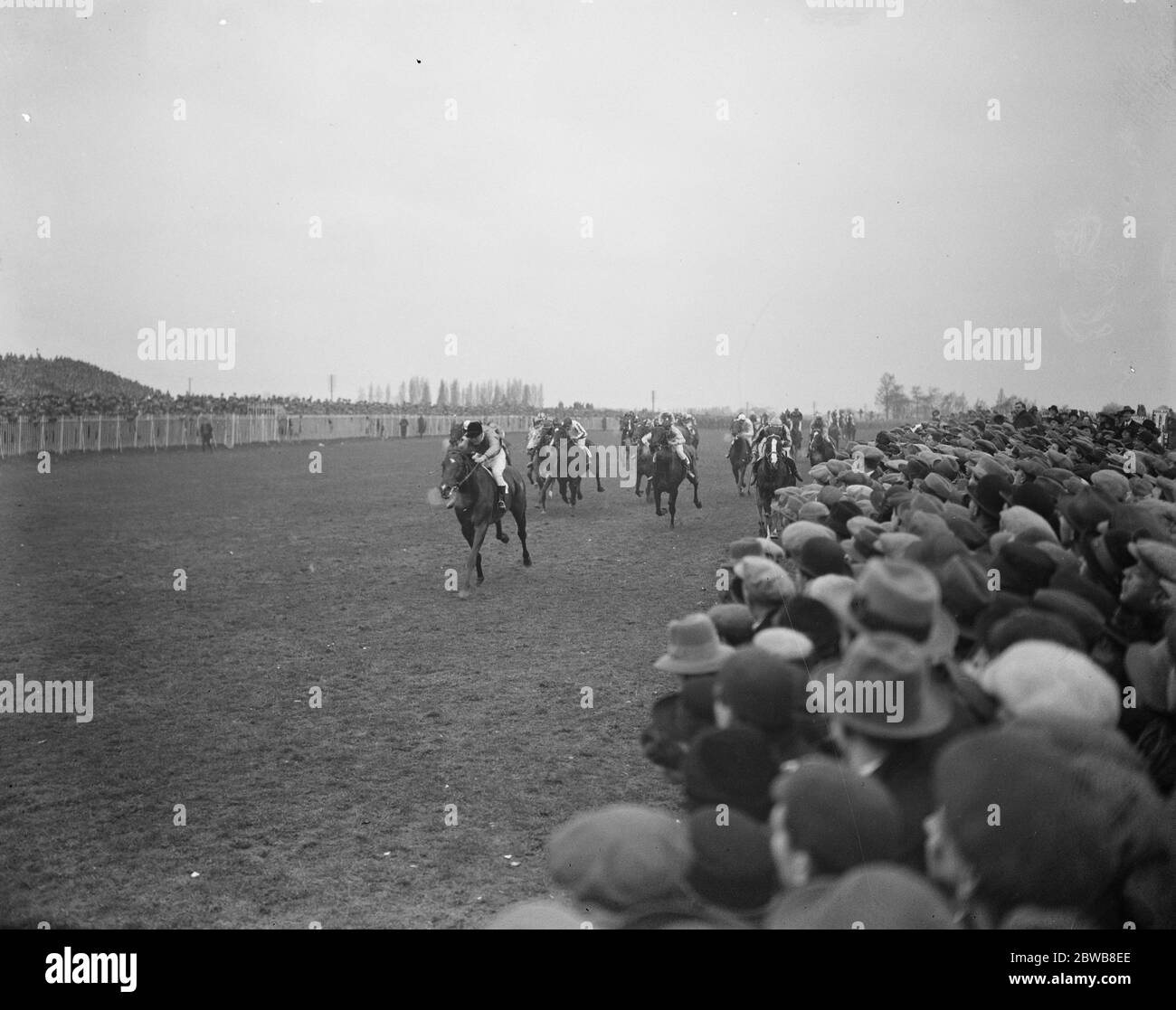 "Sir Gallahad" gewinnt das Lincolnshire Handicap. Das Ziel des Rennens . 26 März 1924 Stockfoto