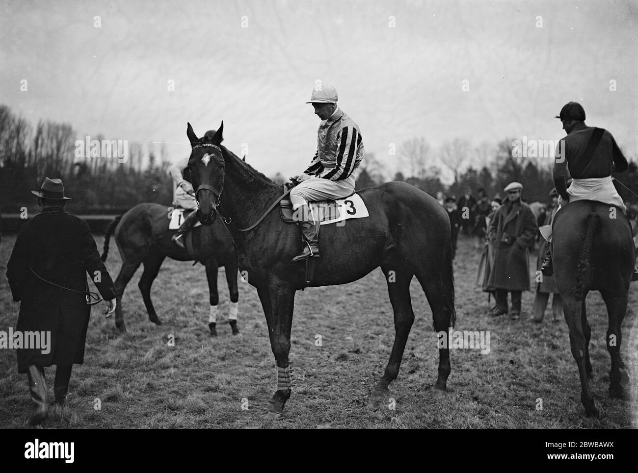 Auf der Rennbahn Lingfield Park, Surrey, "Sir Lindsay", geritten von D Williams. 16. Januar 1932 Stockfoto