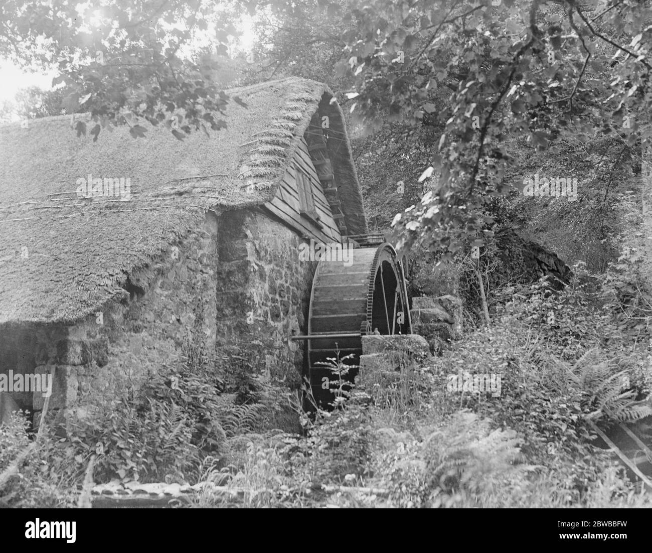 Chagford Old Mill, Devon, zeigt das Wasserrad. Juni 1929 Stockfoto