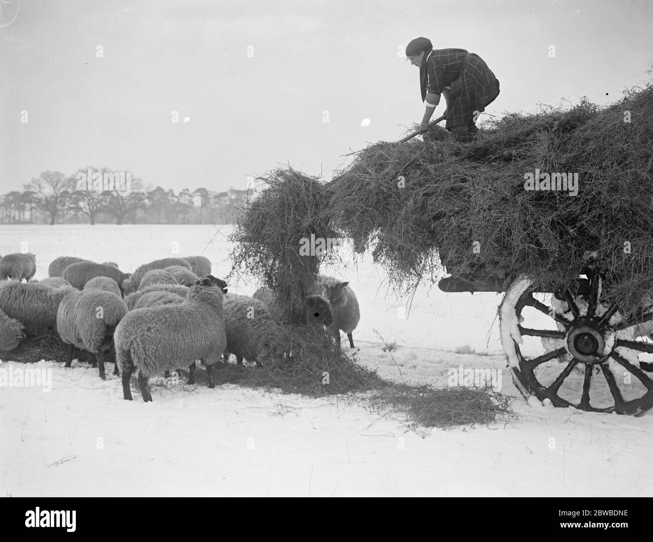 Mädchen Landarbeiter im Schnee bei Thetford , Norfolk 19 Januar 1918 Stockfoto