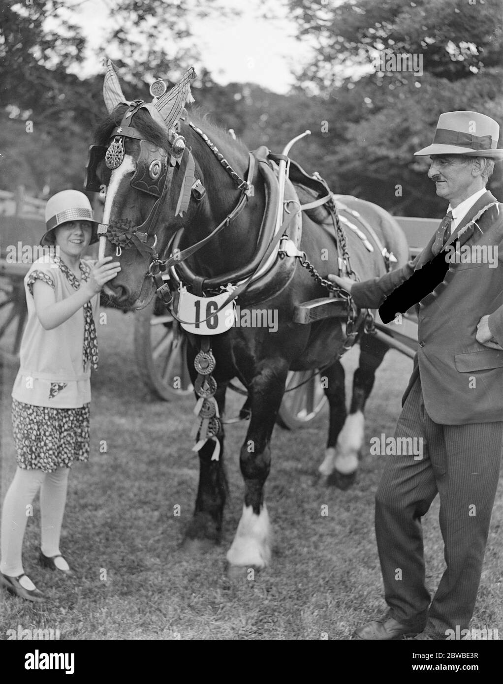 Cowdray Park Horse Show. Hon Daphne Pearson , jüngste Tochter von Lord Cowdray 1929 Stockfoto