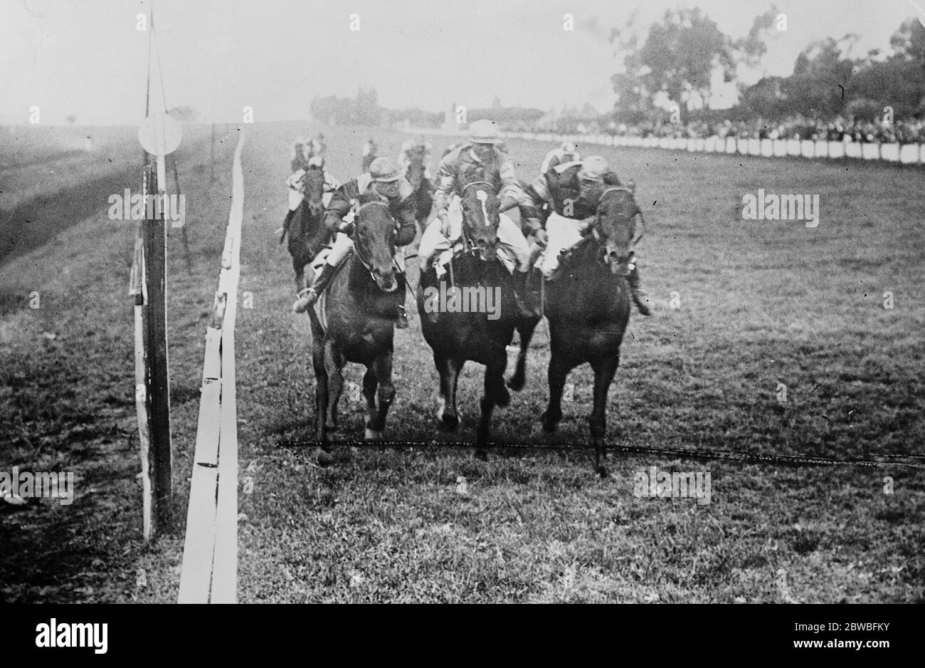 Triple Dead Heat . Sir Abe Bailey ' s Horse in einem bemerkenswerten Finish EINE dreifache totale Hitze in den Auckland Park Rennen in Johannesburg (Südafrika) . Sir Abe Bailey ' s ' Bondsman ' ( rechts ) gewann das Rennen, als es später am Tag 27 Februar 1923 wieder abgelaufen wurde Stockfoto