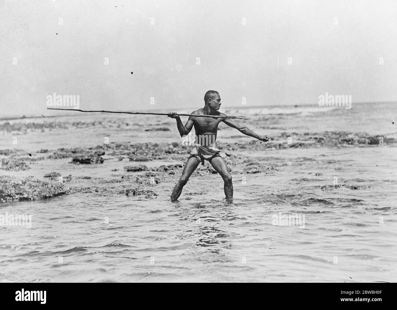 Tolle Insel zu erkunden. British Pacific Science Expedition Segel für Papua . Ein Papua einheimischen Speer Fisch auf einem Korallenriff. 14 Dezember 1922 Stockfoto