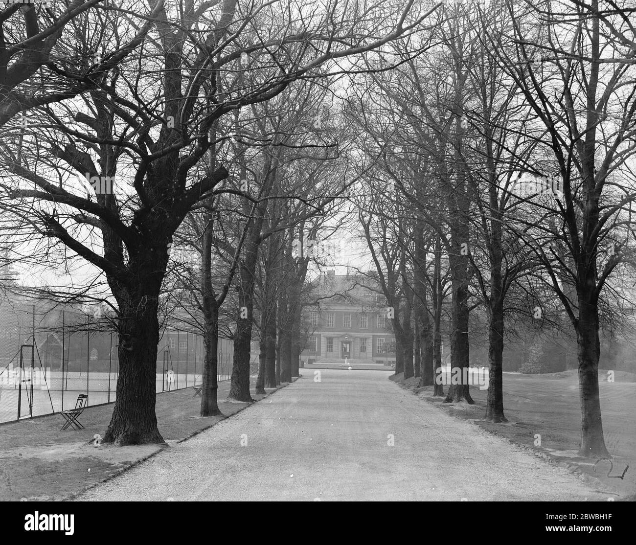 Im Ranelagh Club, Barnes, West London, die Allee der Bäume, die bis zum Club House. April 1936 Stockfoto