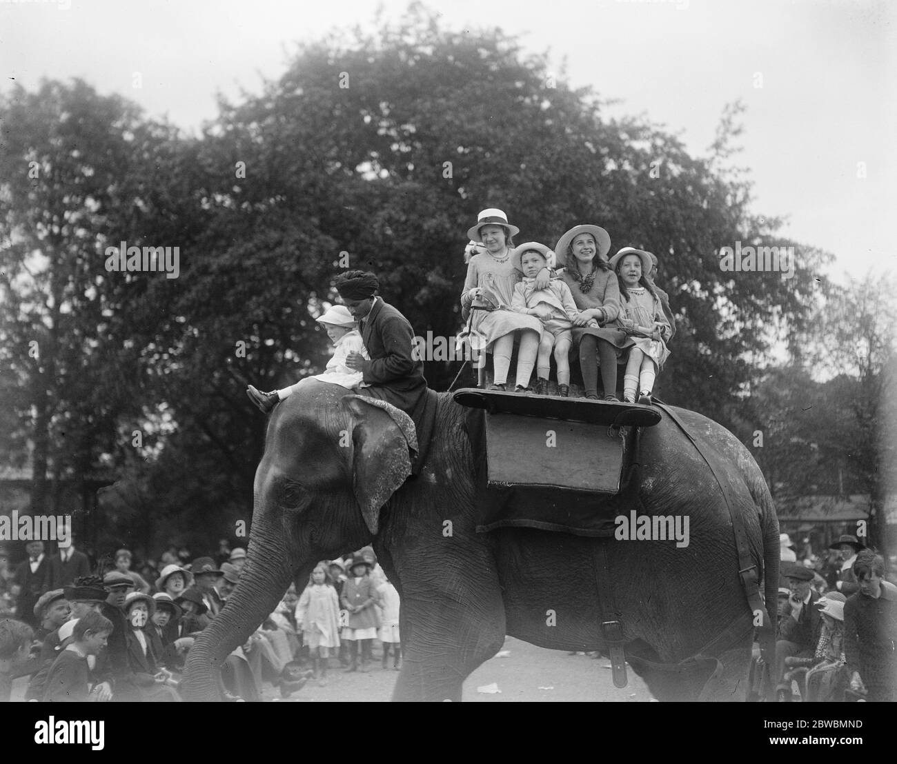 Indischer Elefant und seine Mahout haben eine arbeitsreiche Zeit. Eines Tages waren die Besucher im Zoo nicht weniger als 31,252. Der indische Elefant hat natürlich eine geschäftige Zeit mit den Kindern. Bis 26. August 1920 Stockfoto