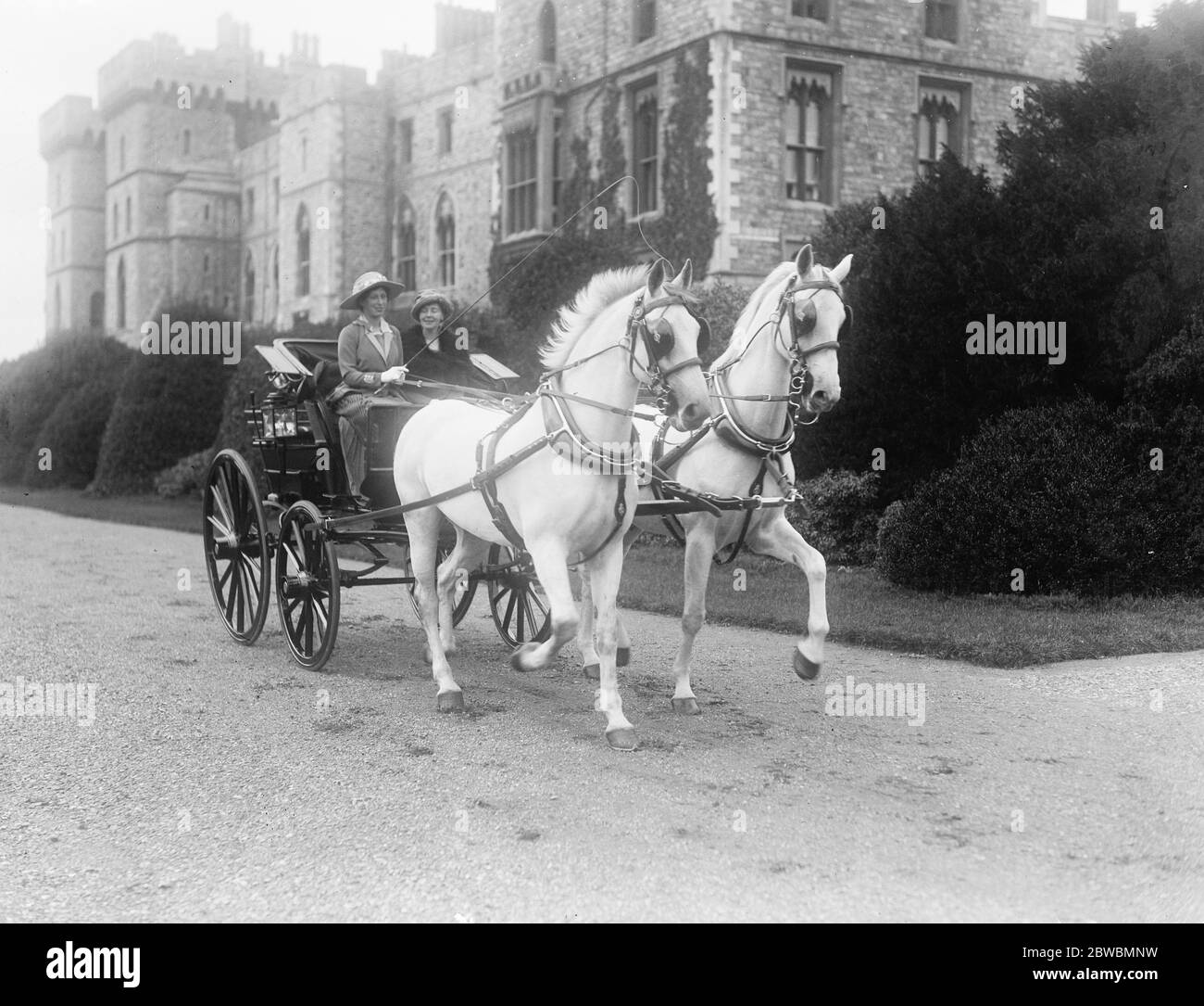 H R H Prinzessin Mary , mit ihren Lieblings-weißen Pferden , in Windsor , Essex 1918 Stockfoto
