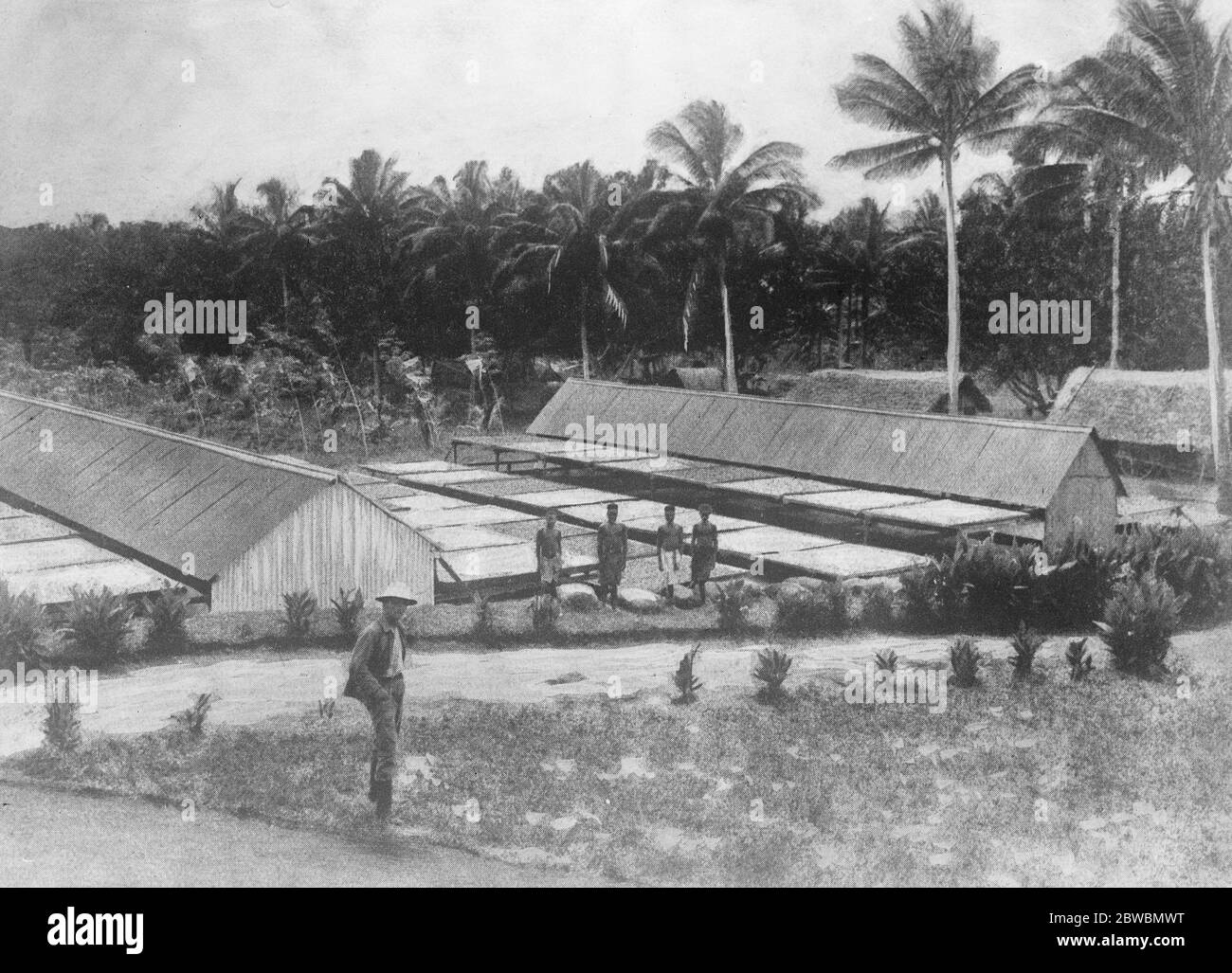 Deutsch-Ostafrika Nuala , EIN Trockenplatz auf einem Copra-Anwesen August 1921 Stockfoto