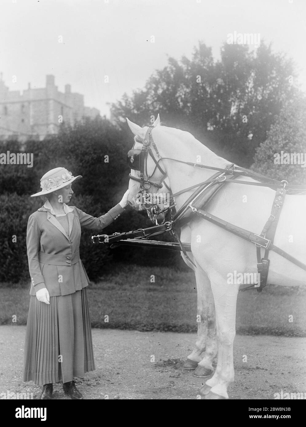H R H Prinzessin Mary, mit ihren Lieblings-weißen Pferden in Windsor. 1918 Stockfoto